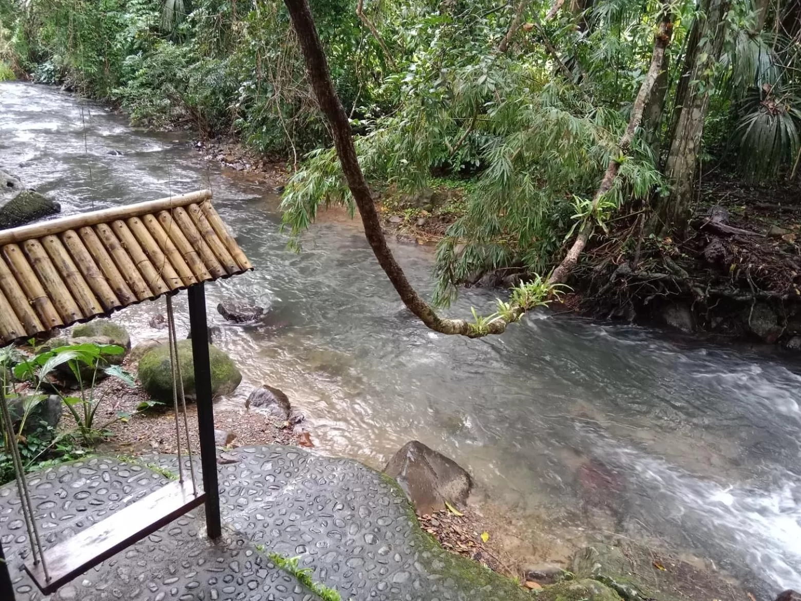 Tree Tops River Huts