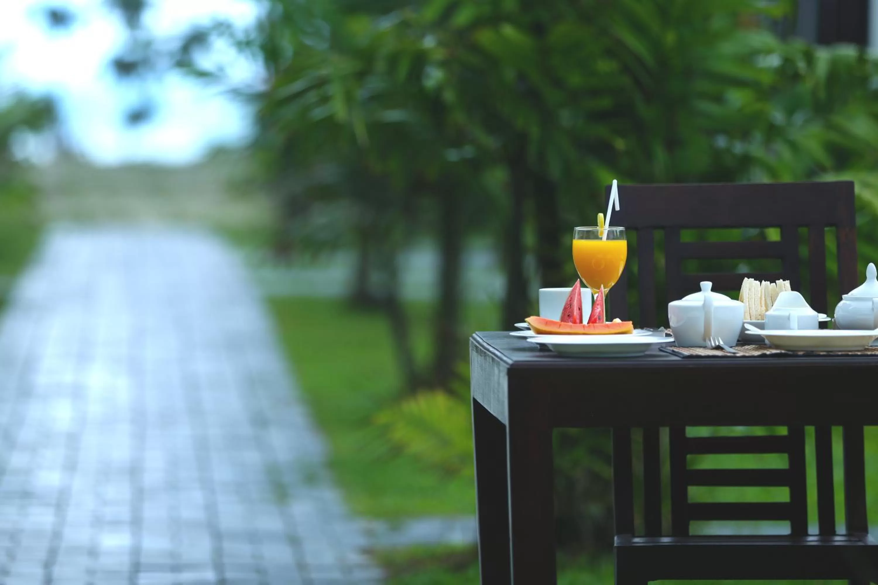 Garden in Kaminrich Cottage