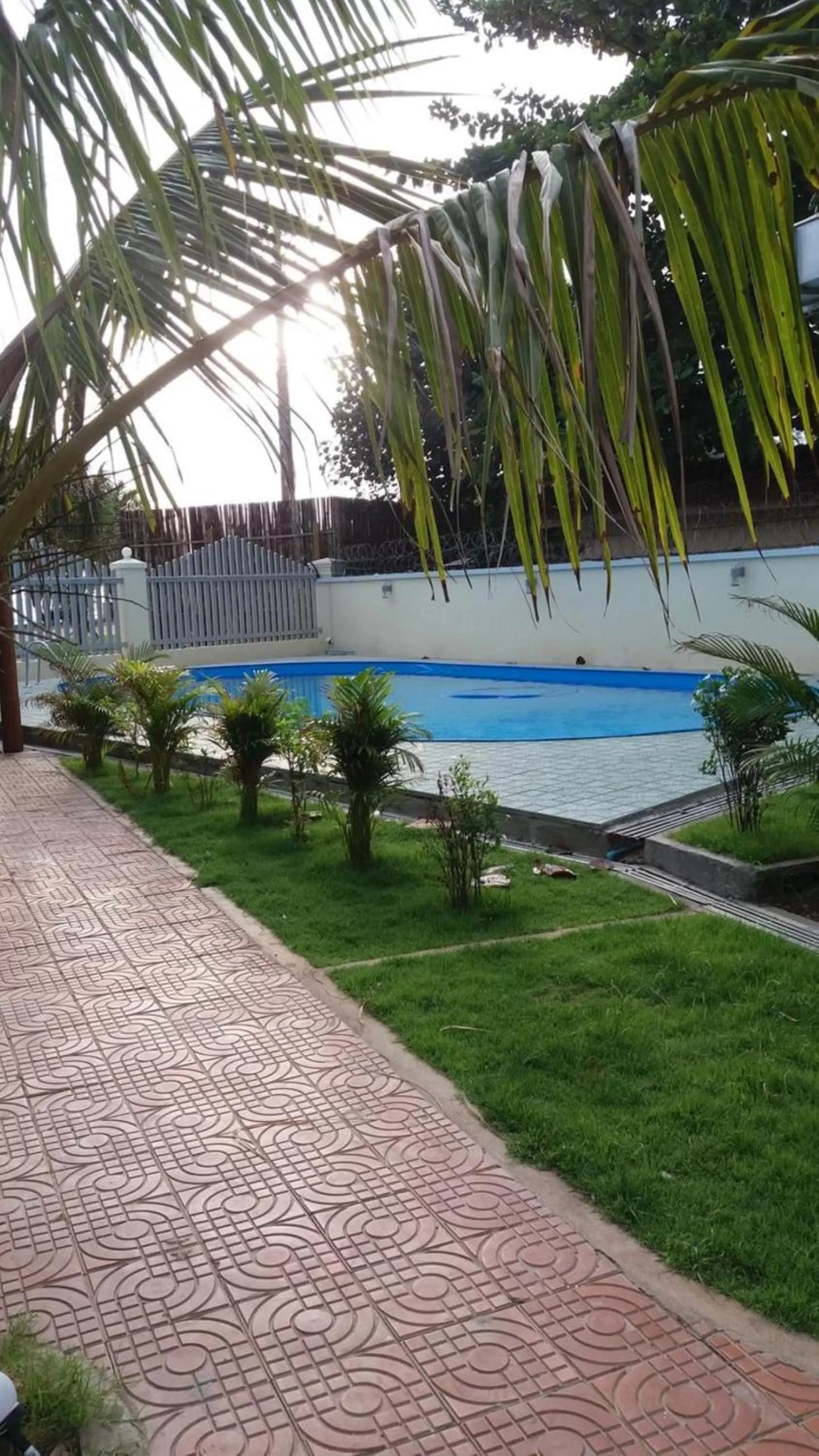 Swimming pool, Garden in Spayhiti