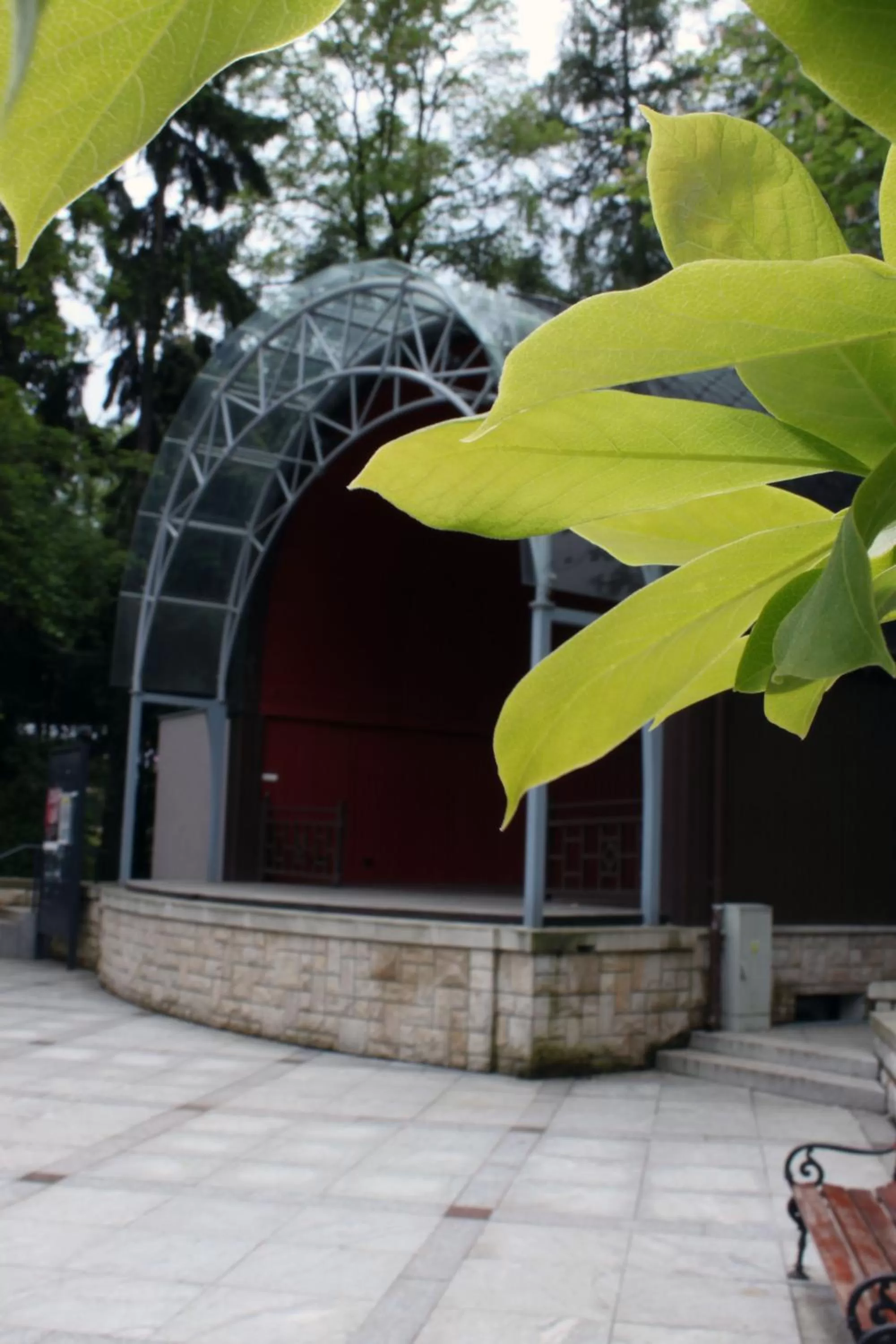 Area and facilities in Hotel Europa