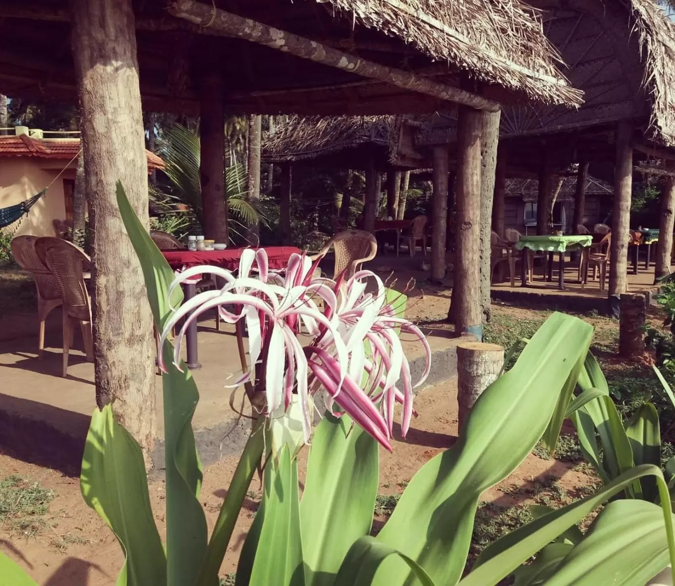 Restaurant/places to eat in Sukriti beach Resort