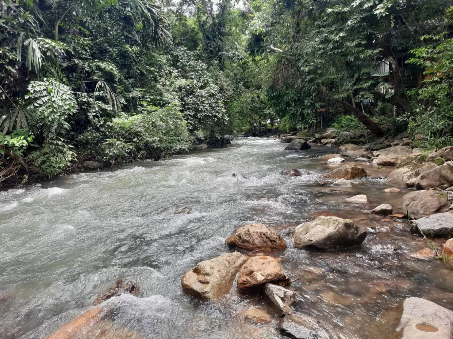 Tree Tops River Huts