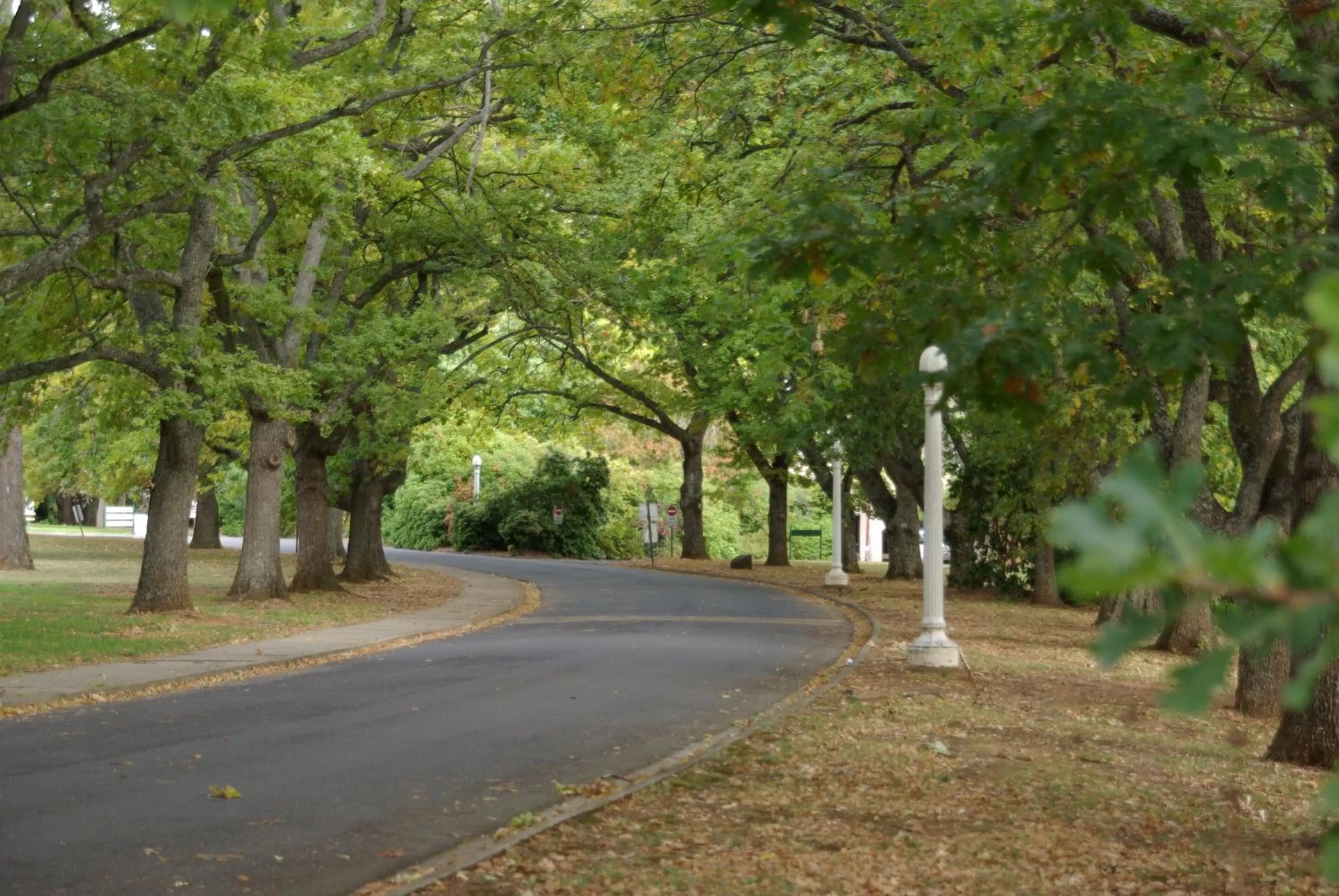 Garden in Linaker Art Deco Motel