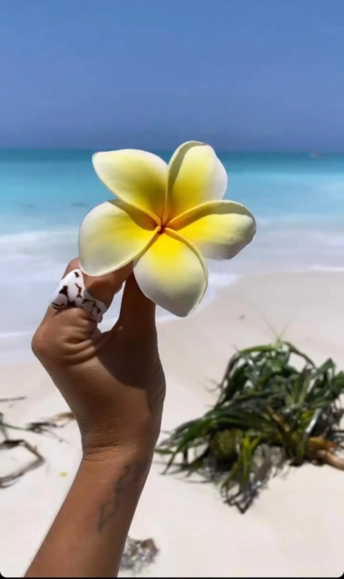 Natural landscape in Kihori Nungwi