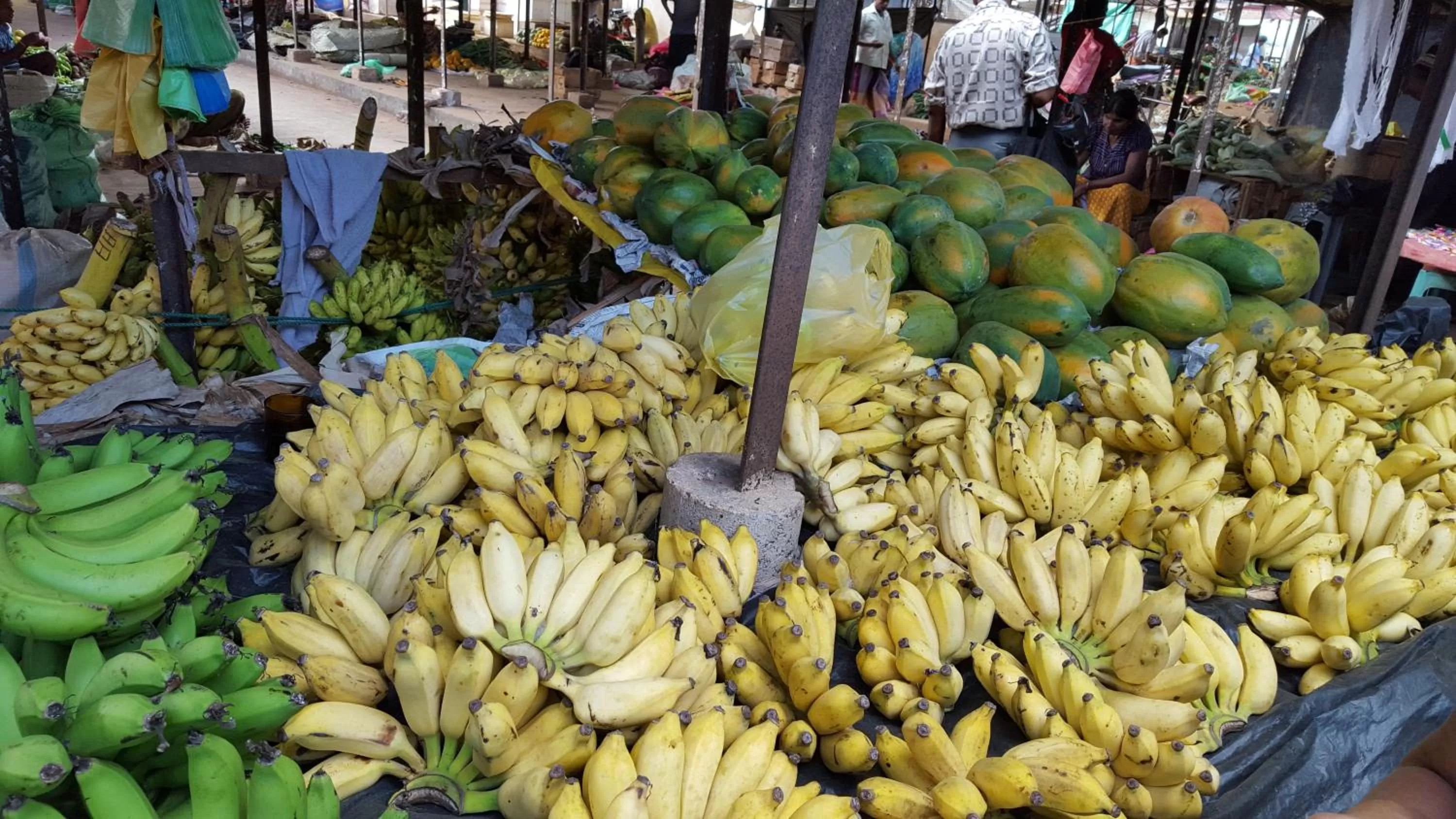 Shopping Area in Little Paradise Tourist Guest House and Holiday Home