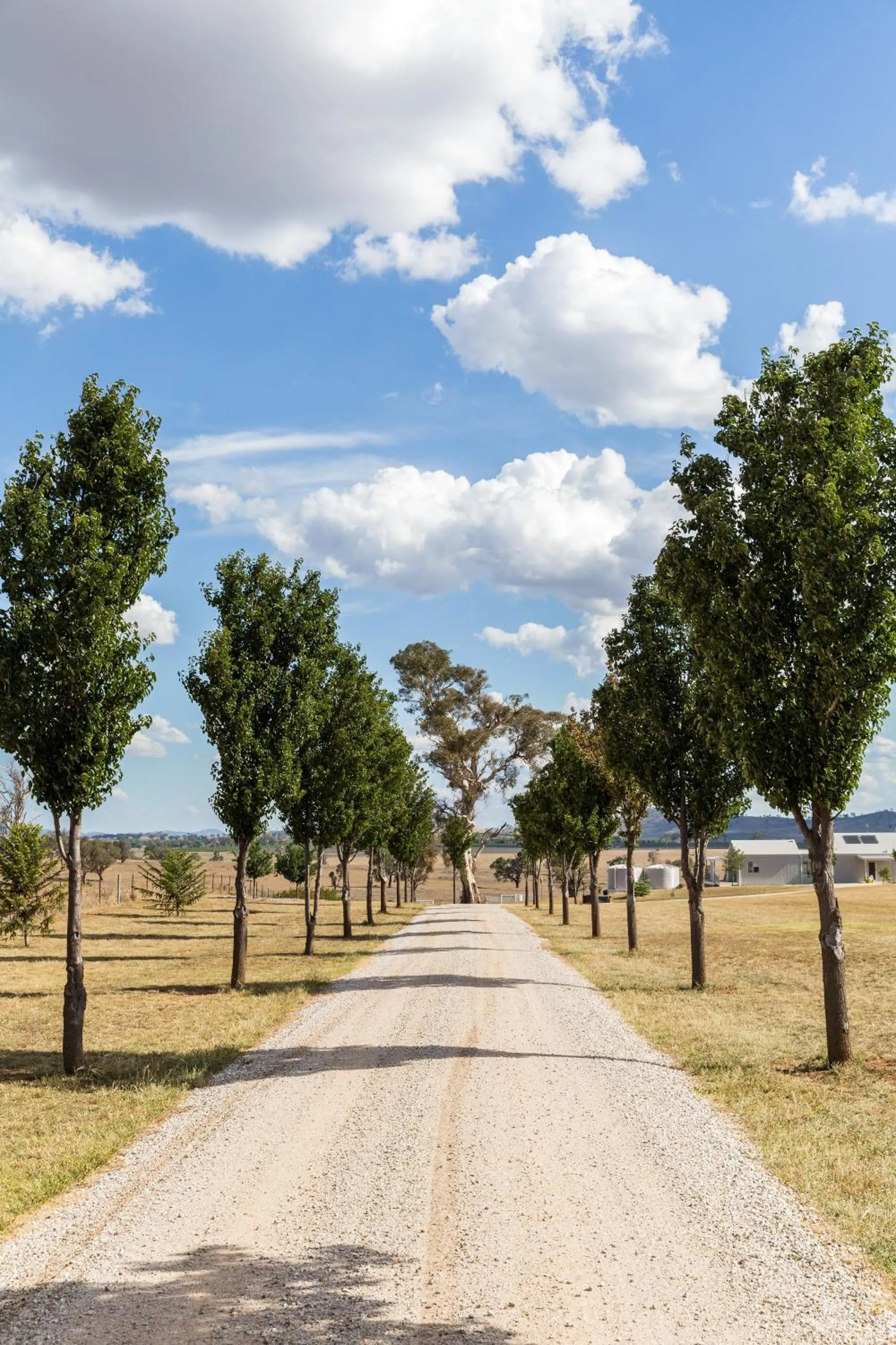Facade/entrance in Owl Head Lodge