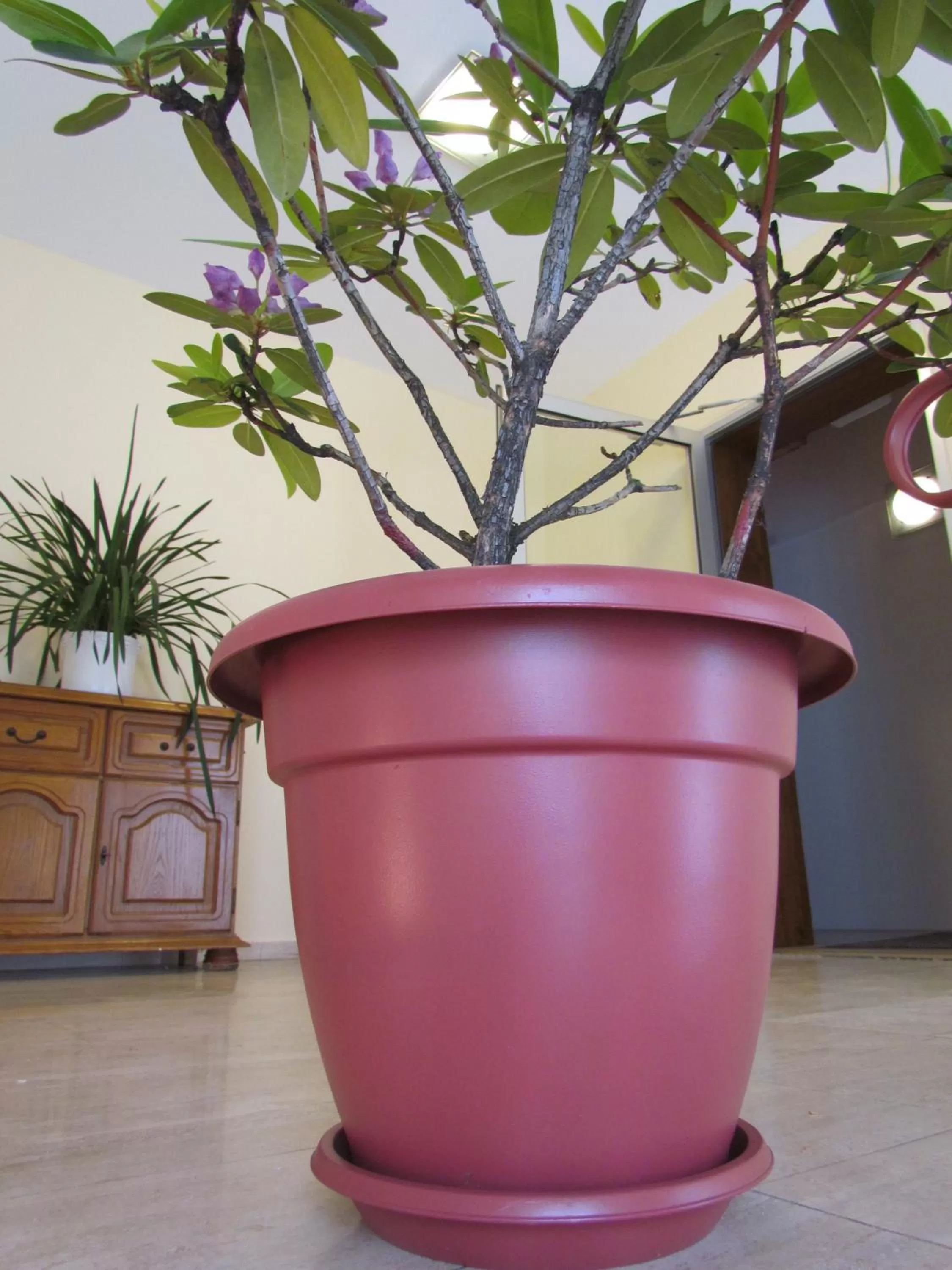 Decorative detail in Hotel Stadt Mainz