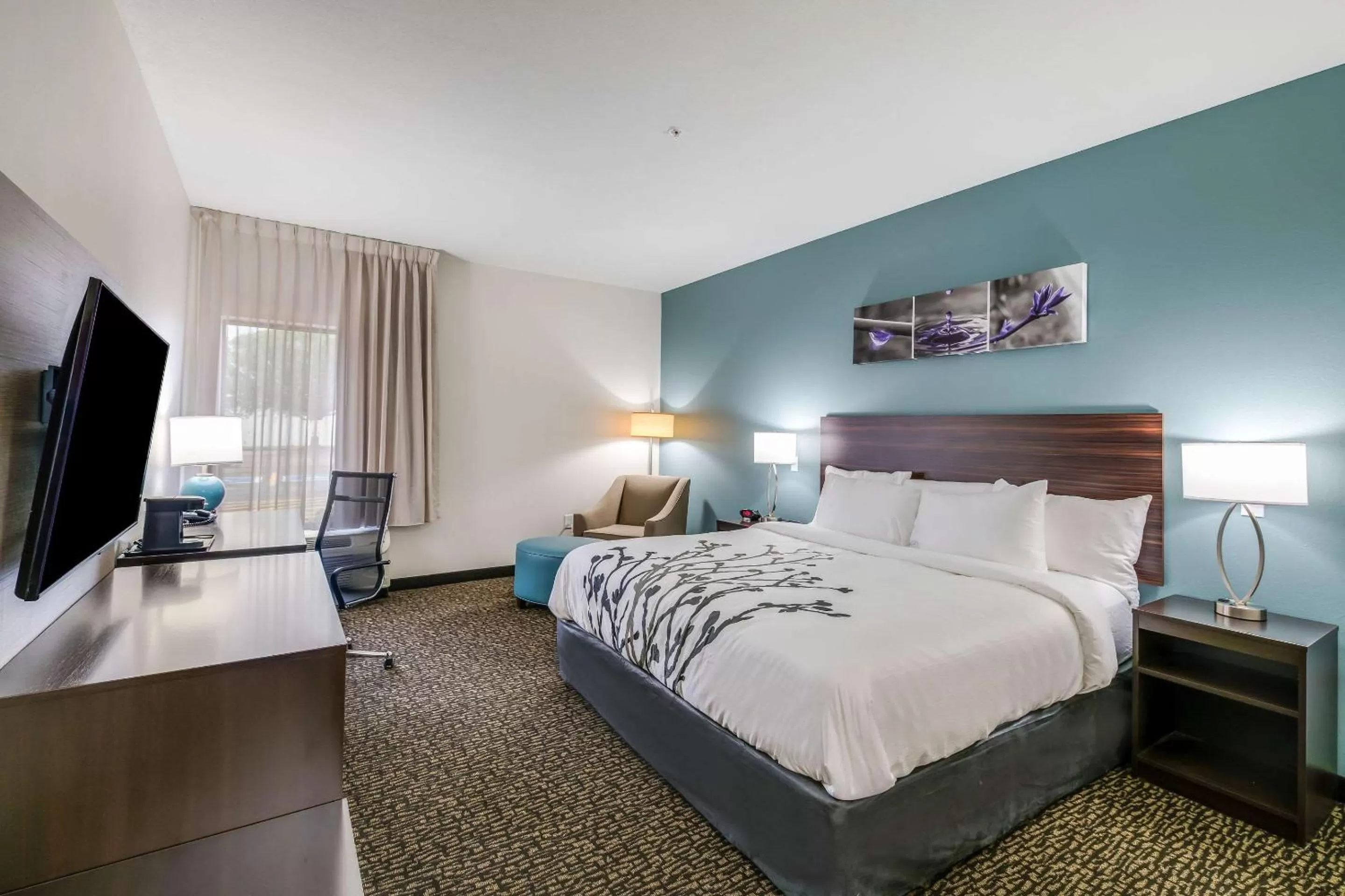 Photo of the whole room, Bed in Sleep Inn Clovis