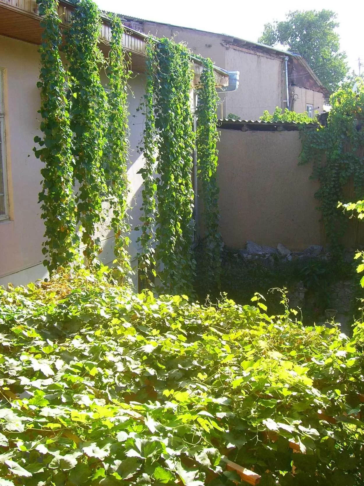 Property building in Jahongir