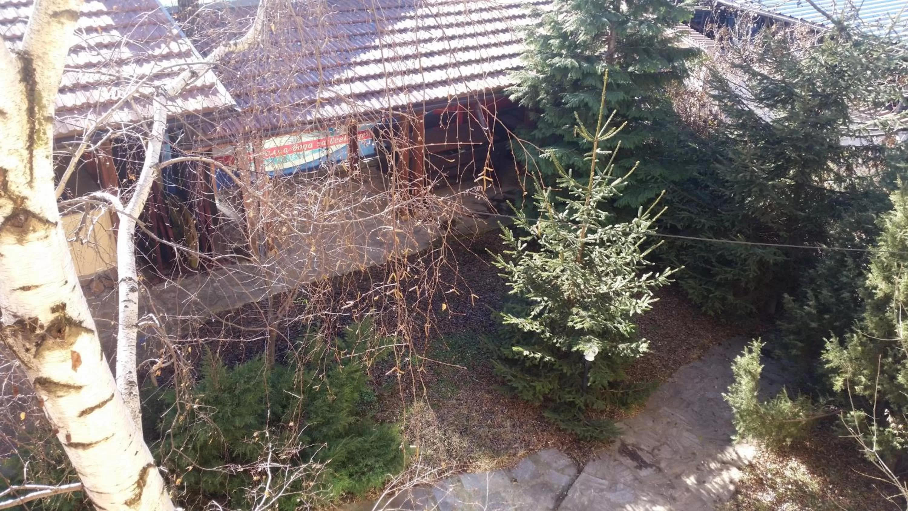 Garden in Hotel Diavolo