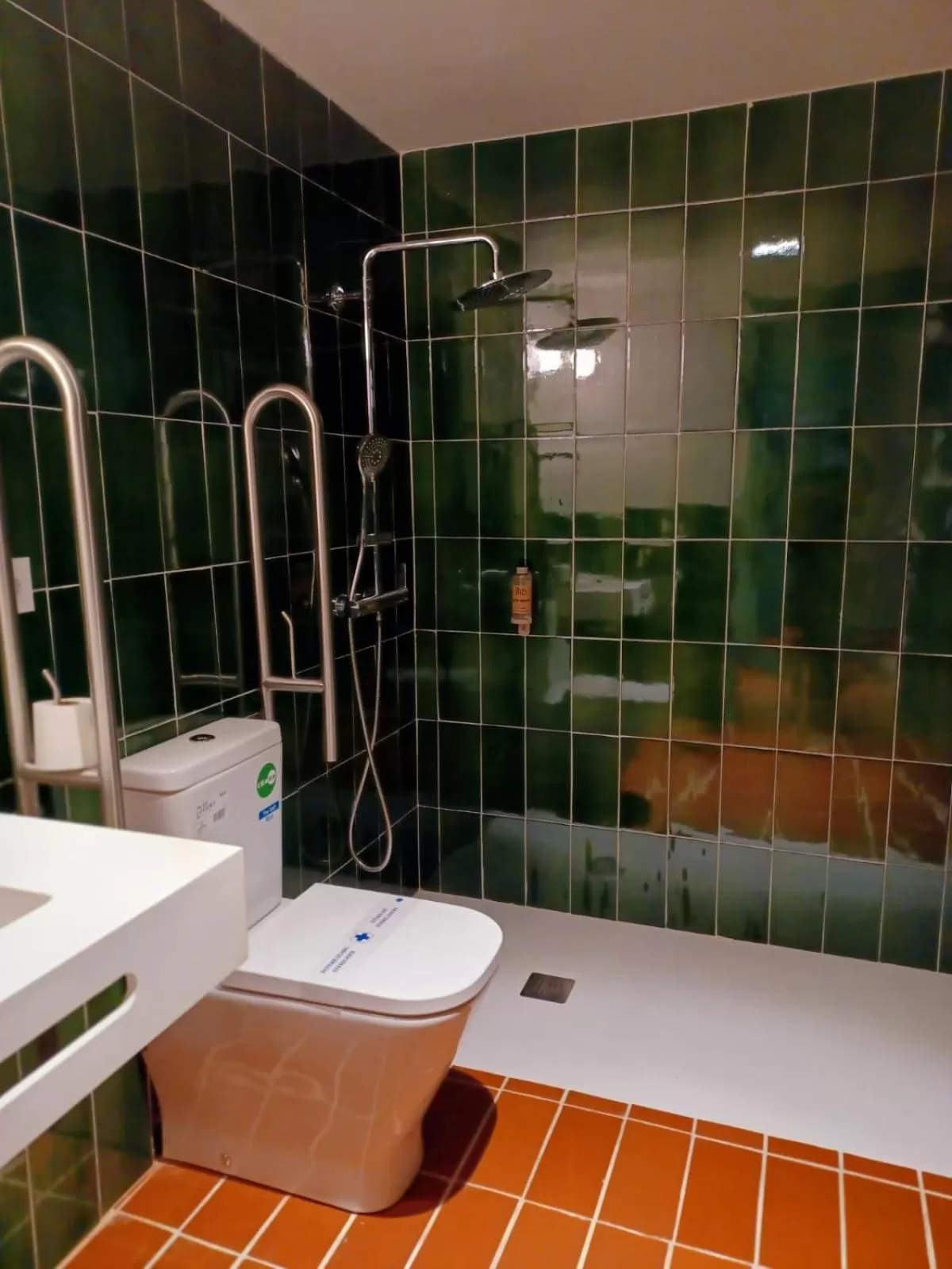 Shower, Bathroom in Terra Aurea Aparthotel