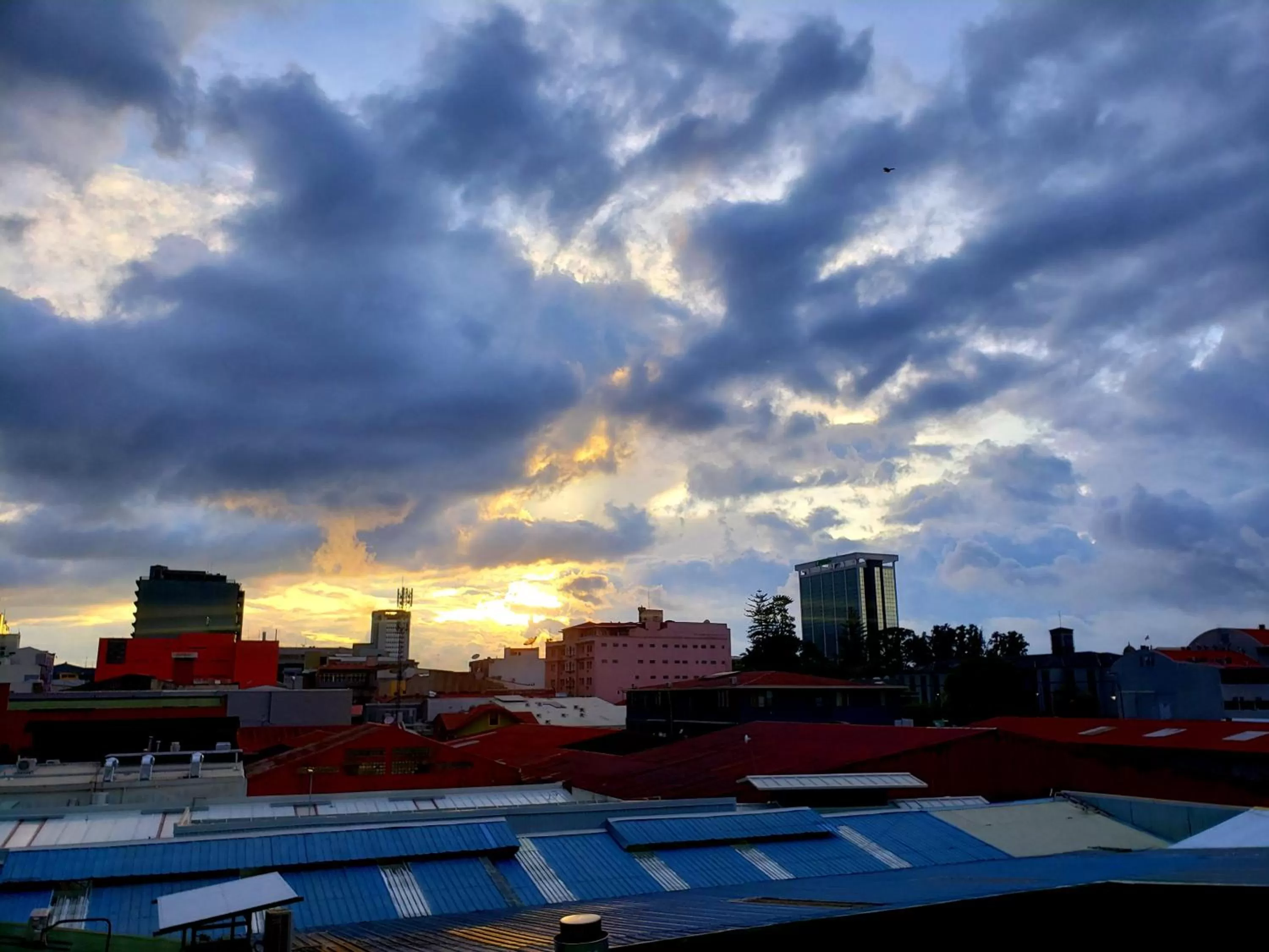 City view, Swimming Pool in Cando Living Apartments in Central Avenue