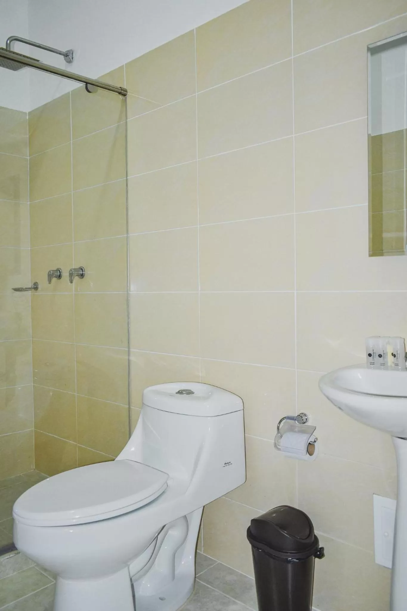 Shower in Hotel El Marqués De Manga