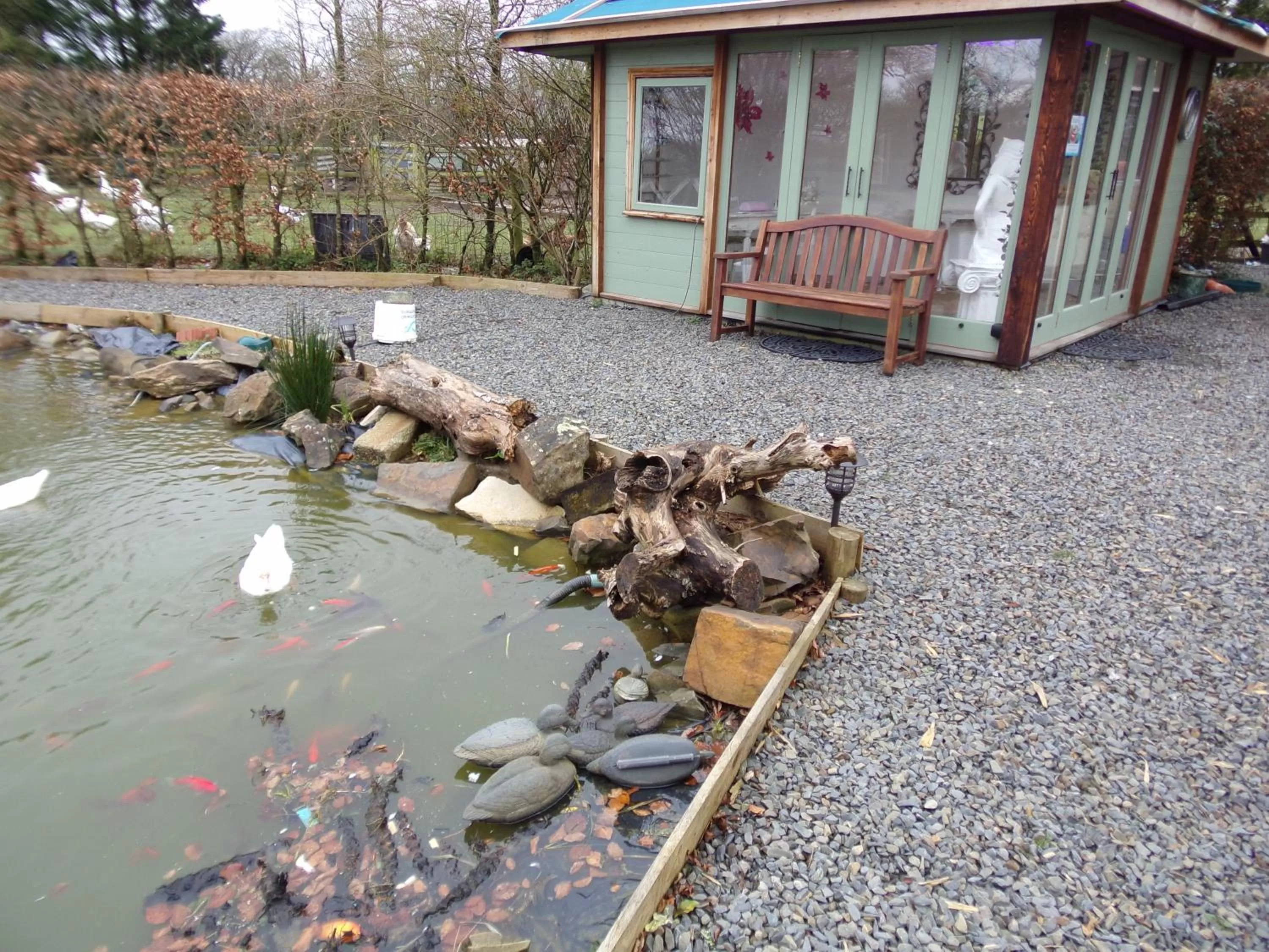 Area and facilities in Barton Gate Farm B&B