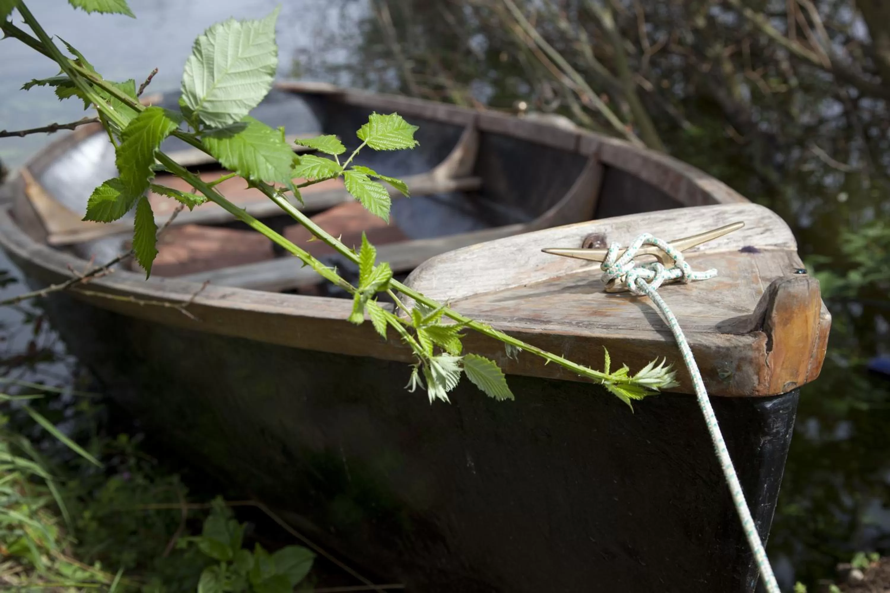 Garden in Hotel Boutique Casa Werner