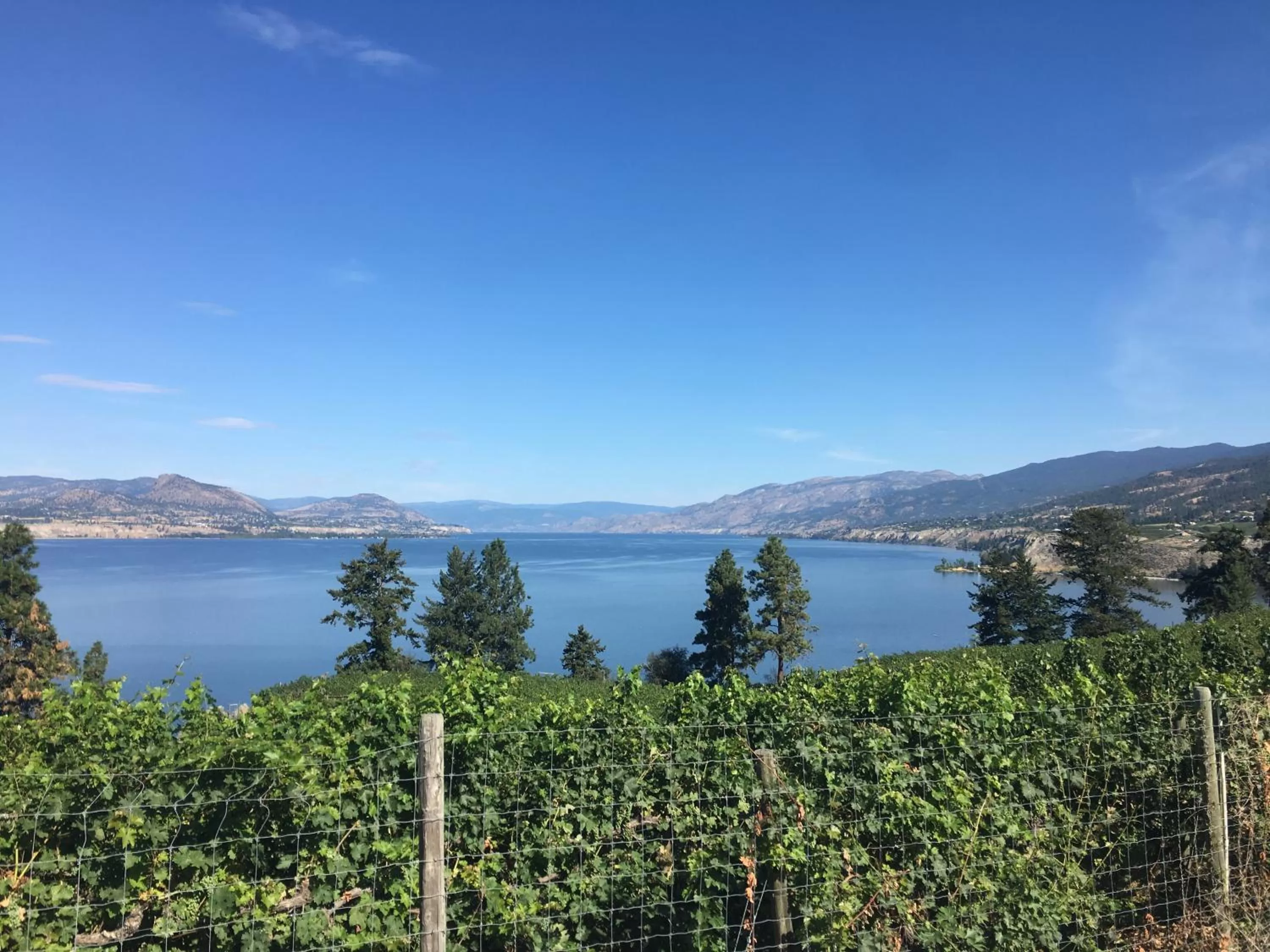 Day in Black Sea Motel