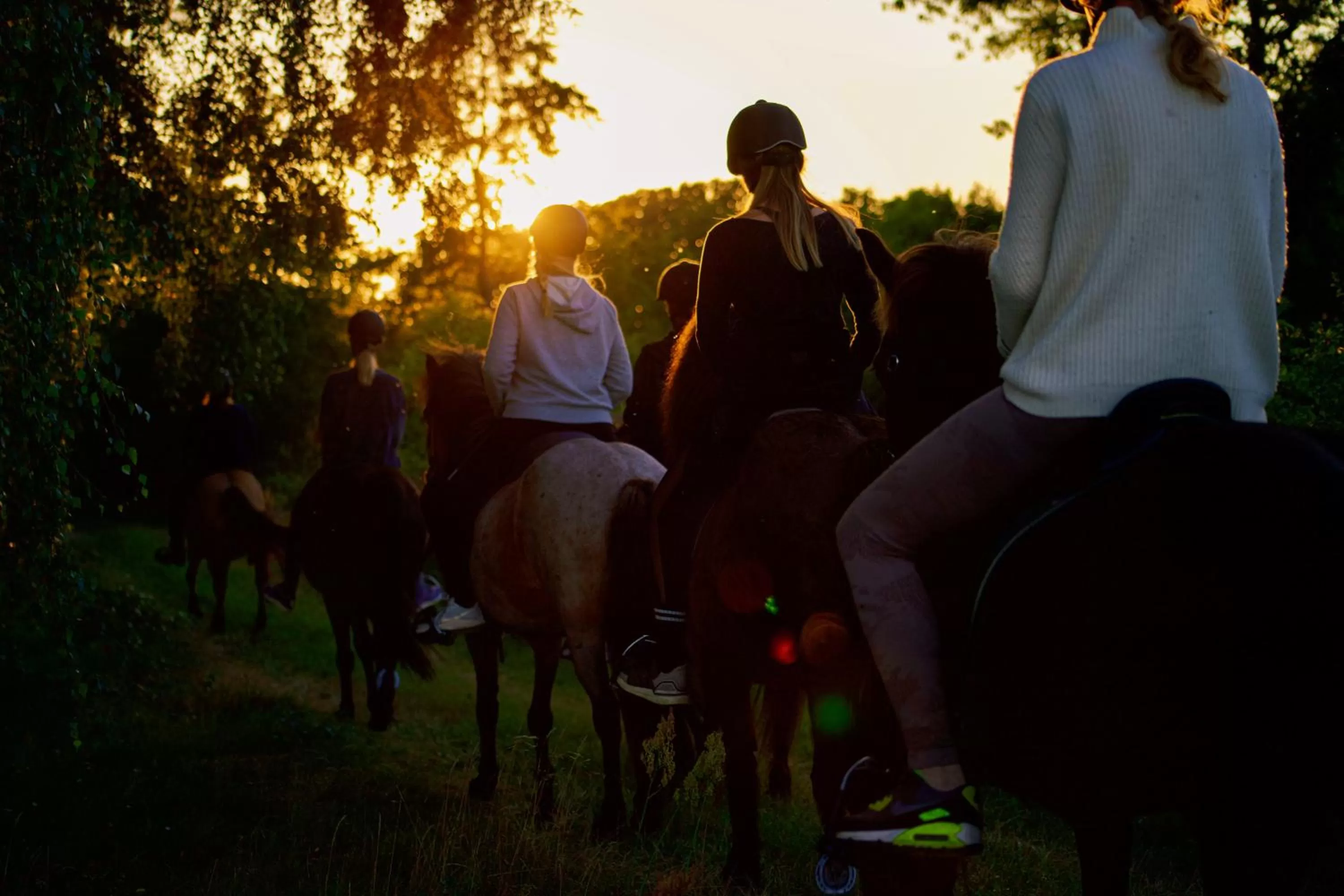 Horse-riding, Horseback Riding in Ölands Yoga Studio & Islandshästar, Stugor & Rum