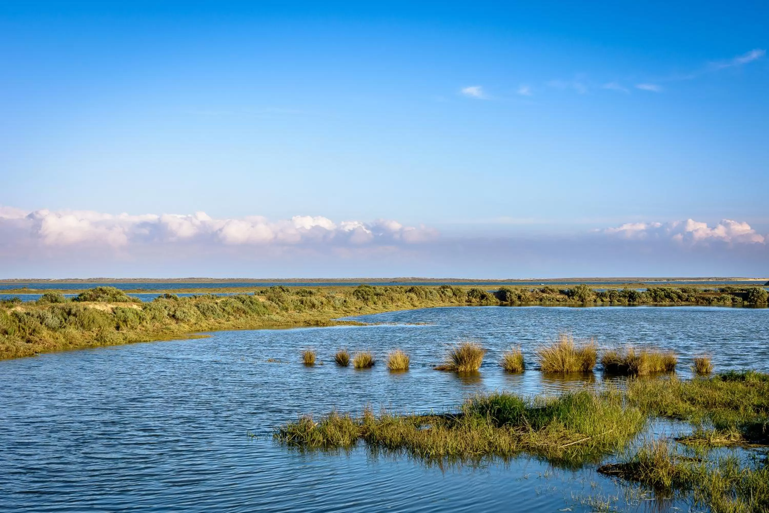 Bird's eye view in Pedras D'el Rei