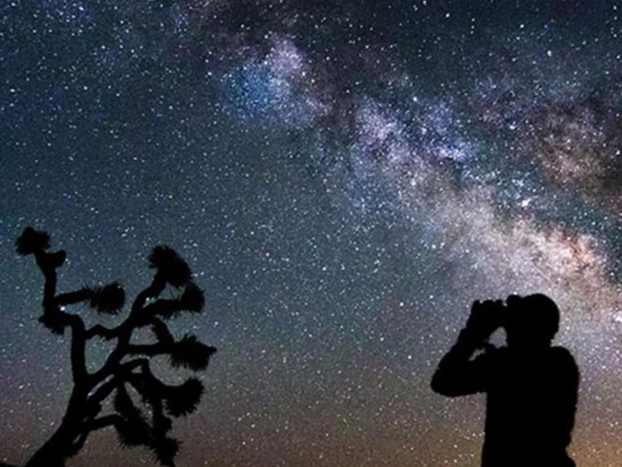 Activities in Corbett Treat Resort By Atya Hotels