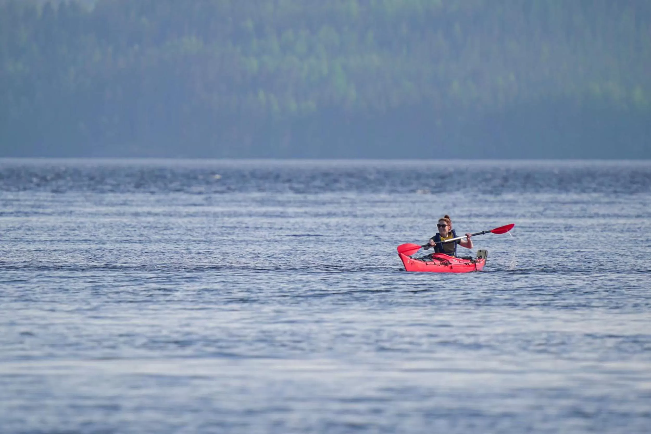 Canoeing in Olo Center by Kolovesi National Park