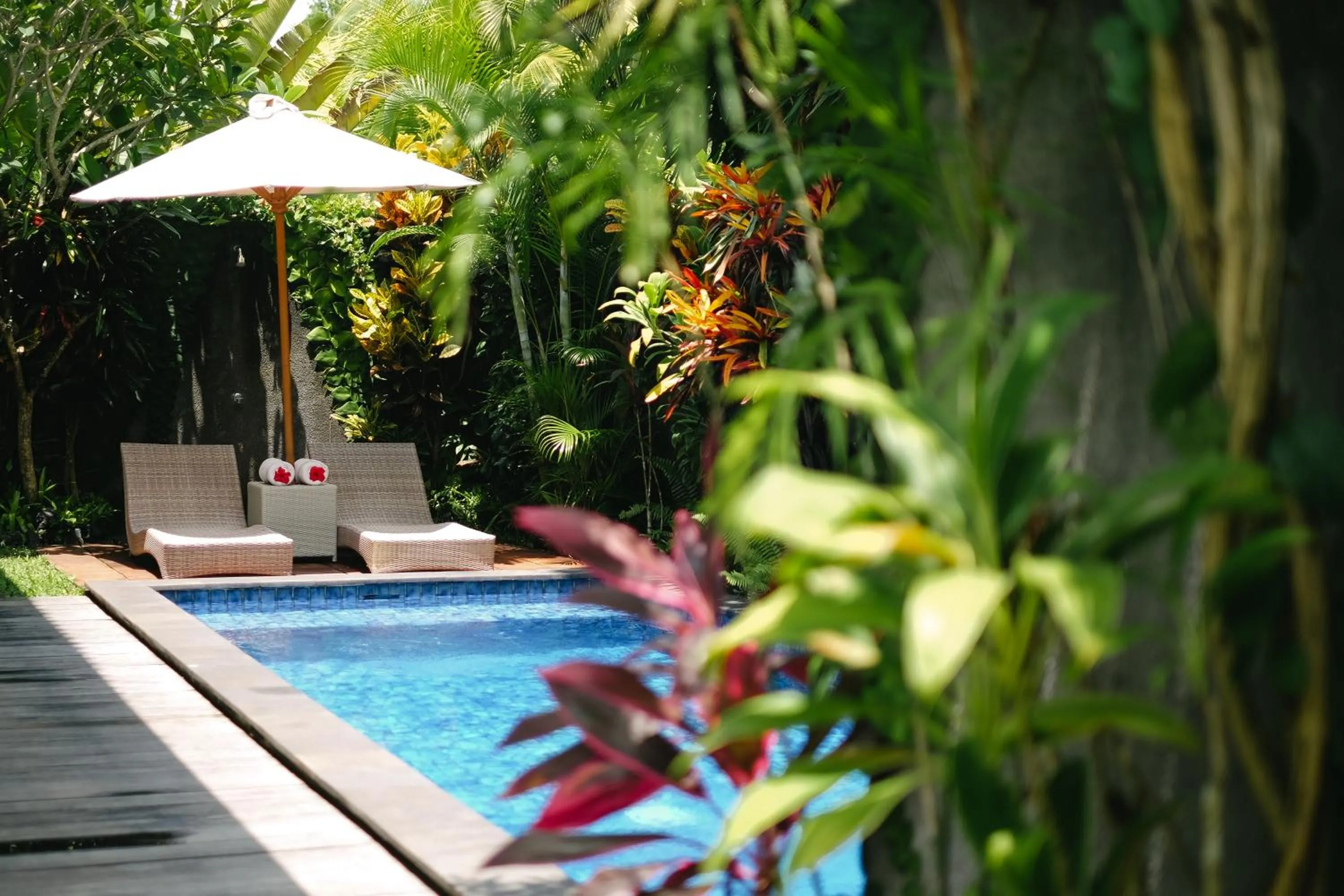 Swimming pool in Sativa Villas Ubud with Private Pool