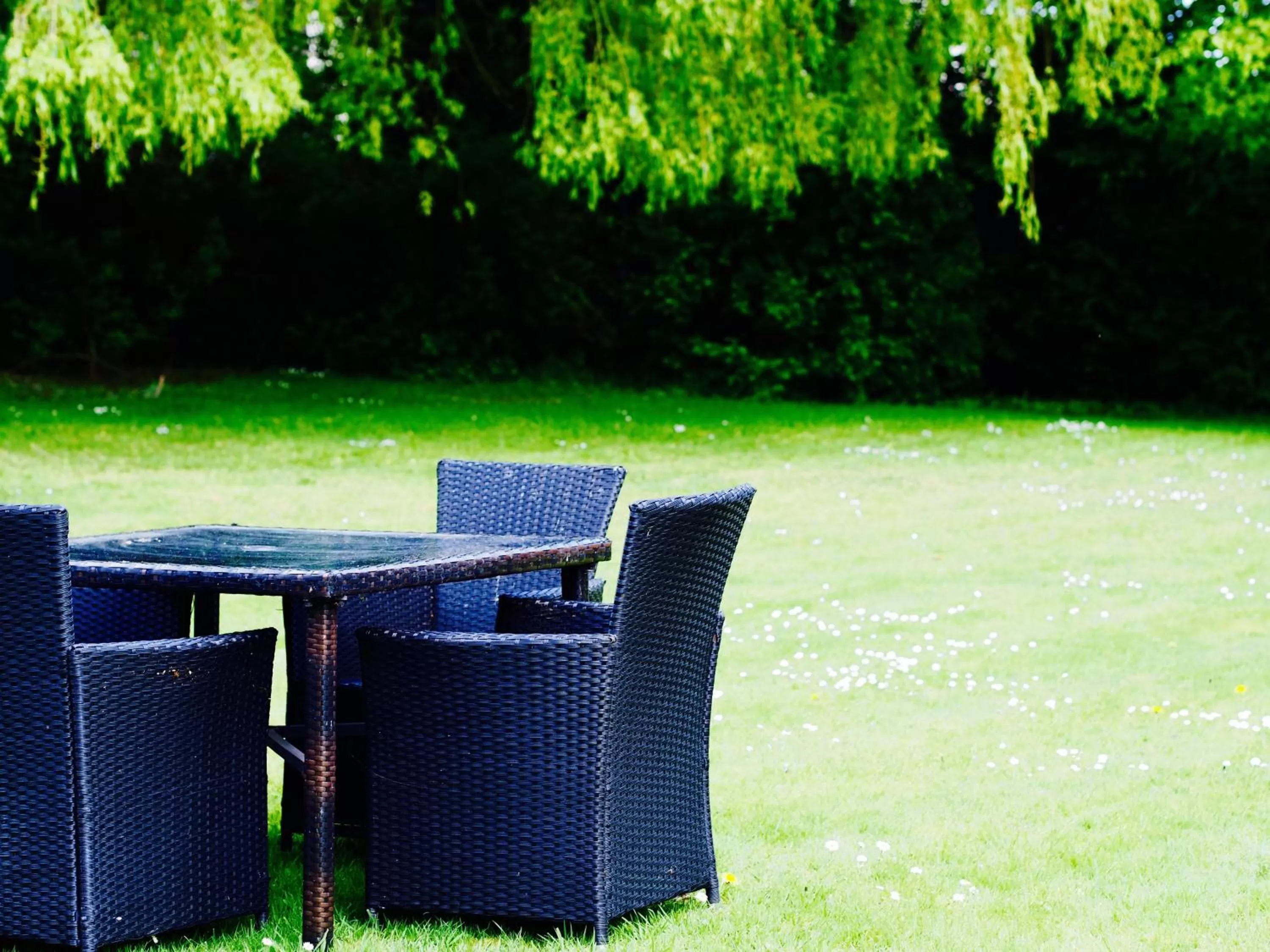 Garden in Wrangham House