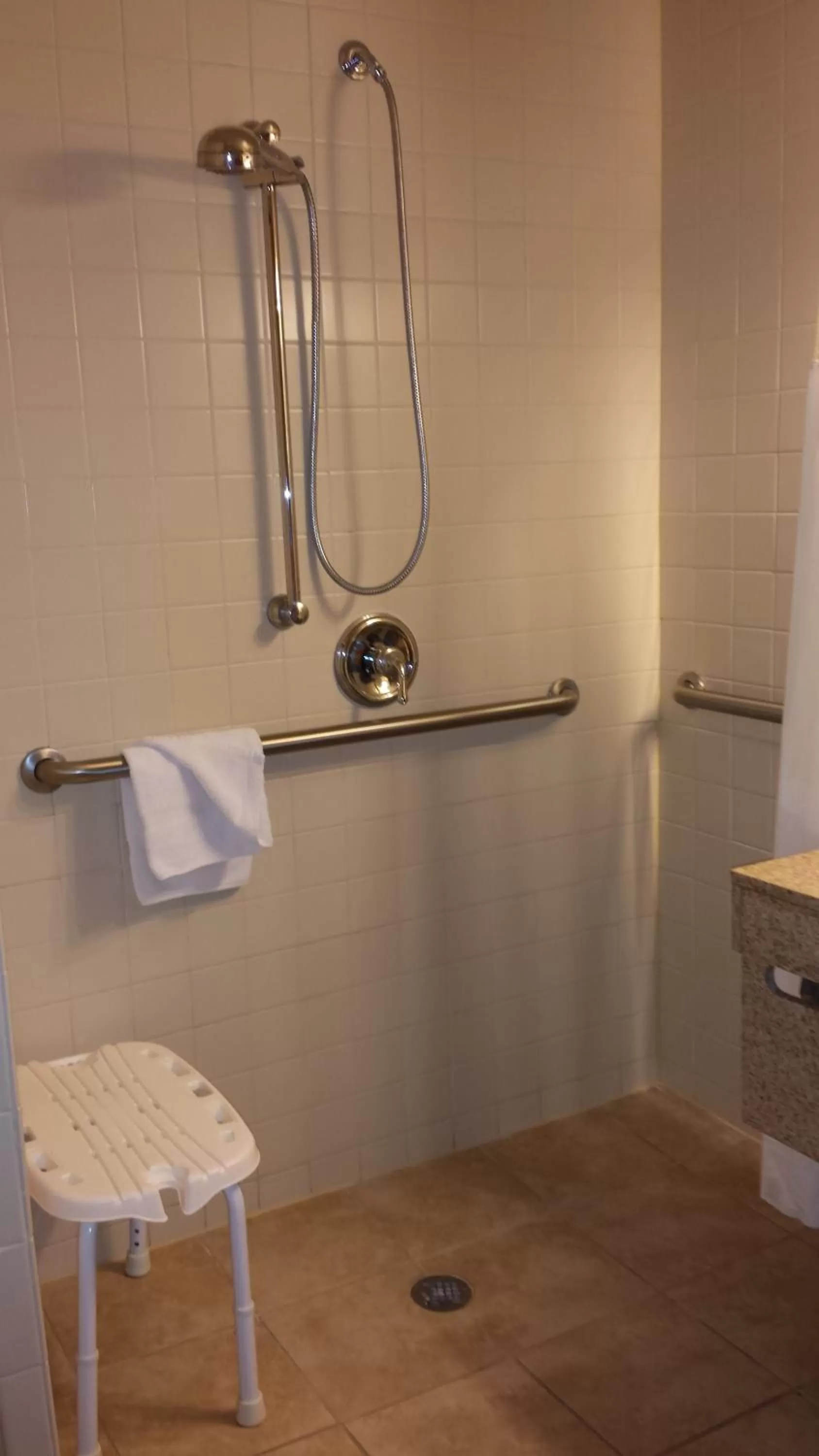 Bathroom in Wingate by Wyndham LaGrange