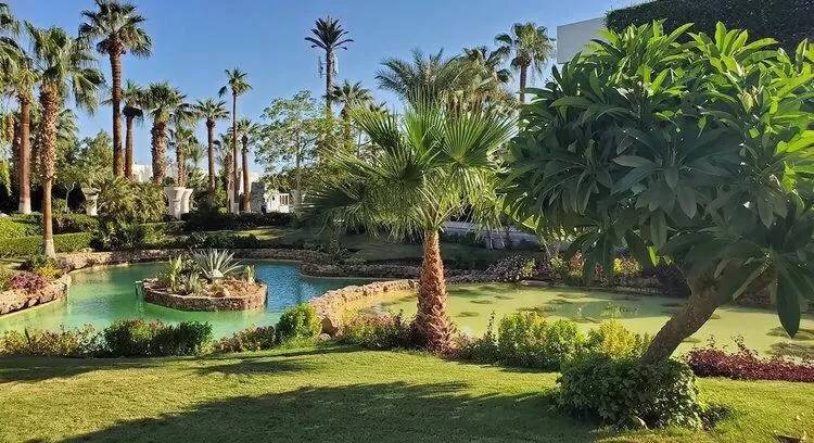 Natural landscape in Monte Carlo Sharm Resort & Spa