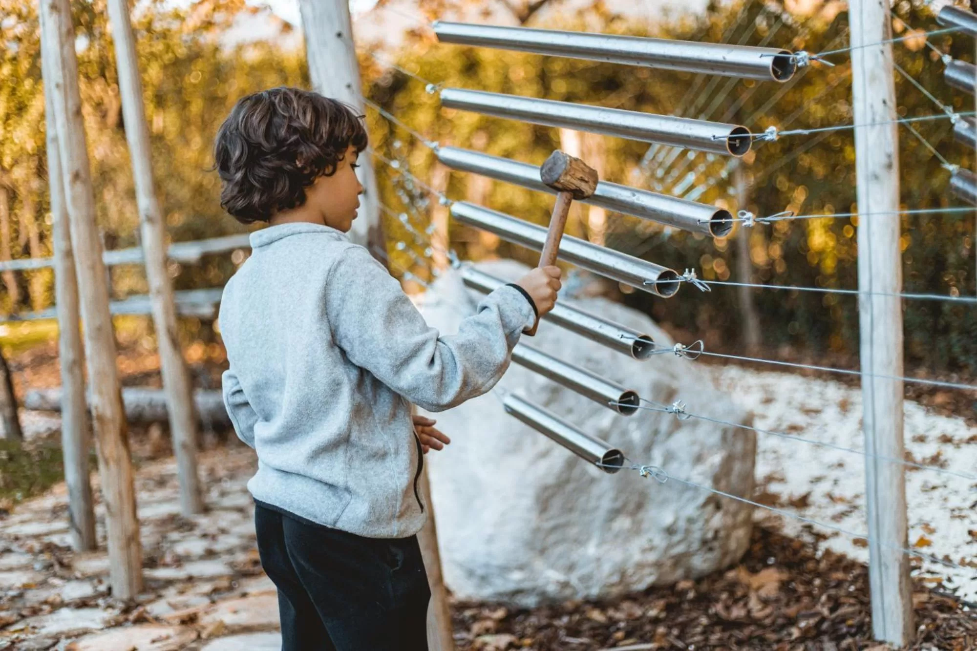 Day, Other Activities in Villa Stecchini