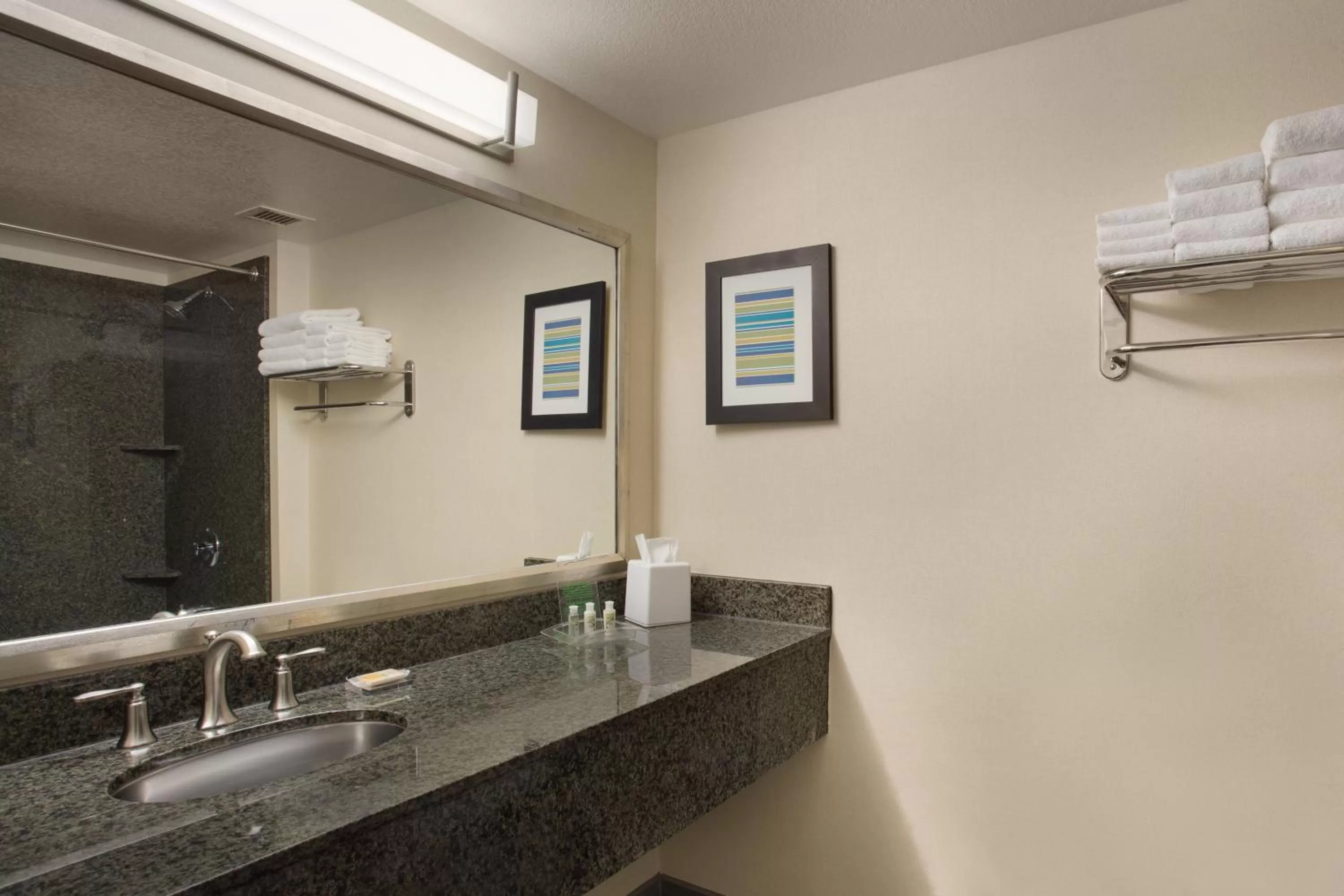 Bathroom in Holiday Inn Scottsdale North- Airpark by IHG