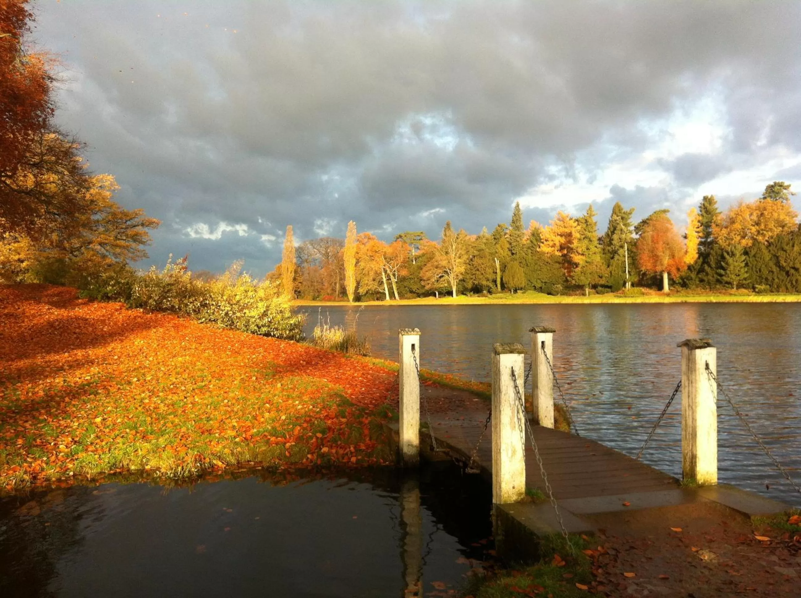 Natural landscape in Hotel Landhaus Wörlitzer Hof