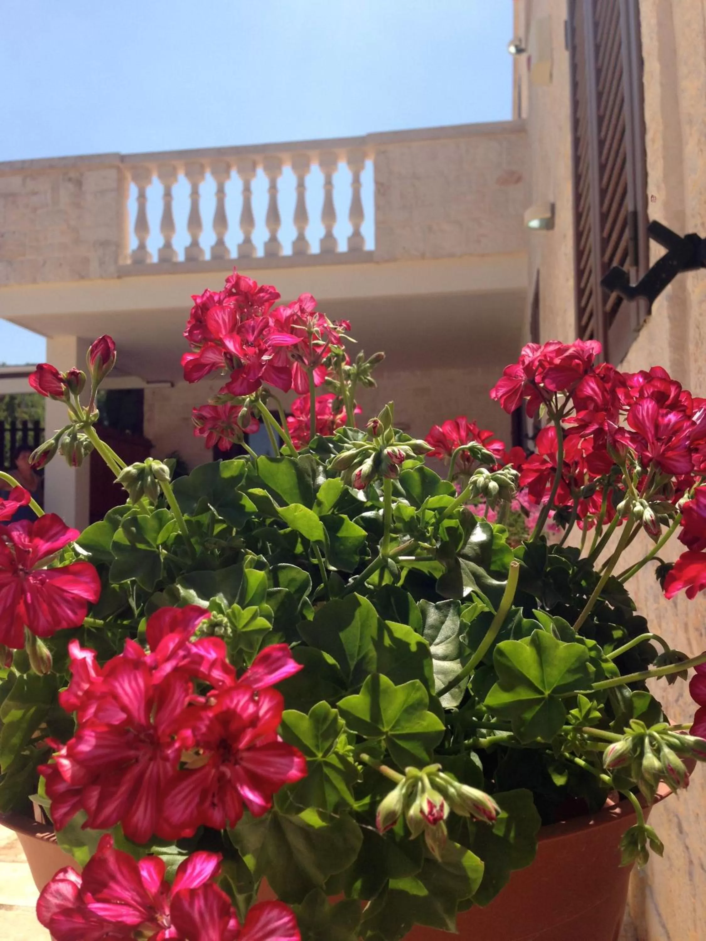 Bird's eye view, Property Building in B&B Villa Grassi