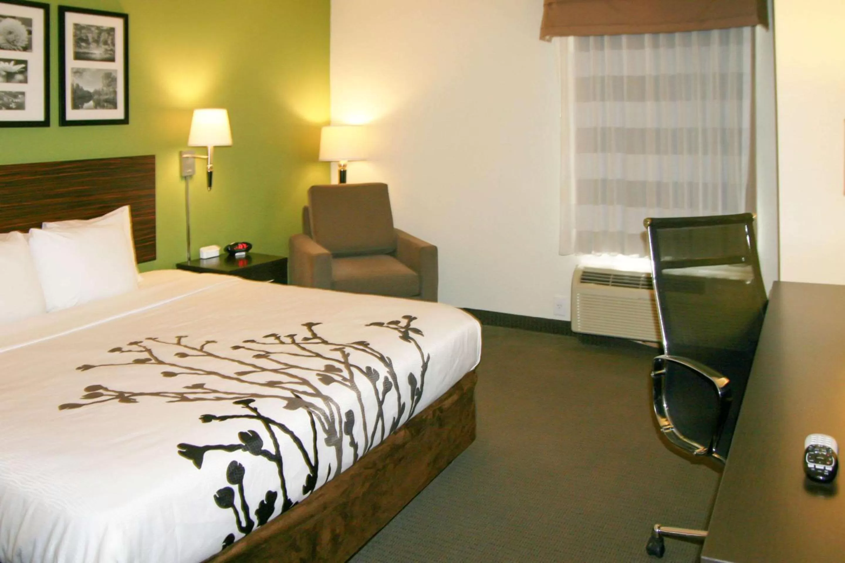 King Room - Disability Access/Non-Smoking in Sleep Inn & Suites Stony Creek - Petersburg South
