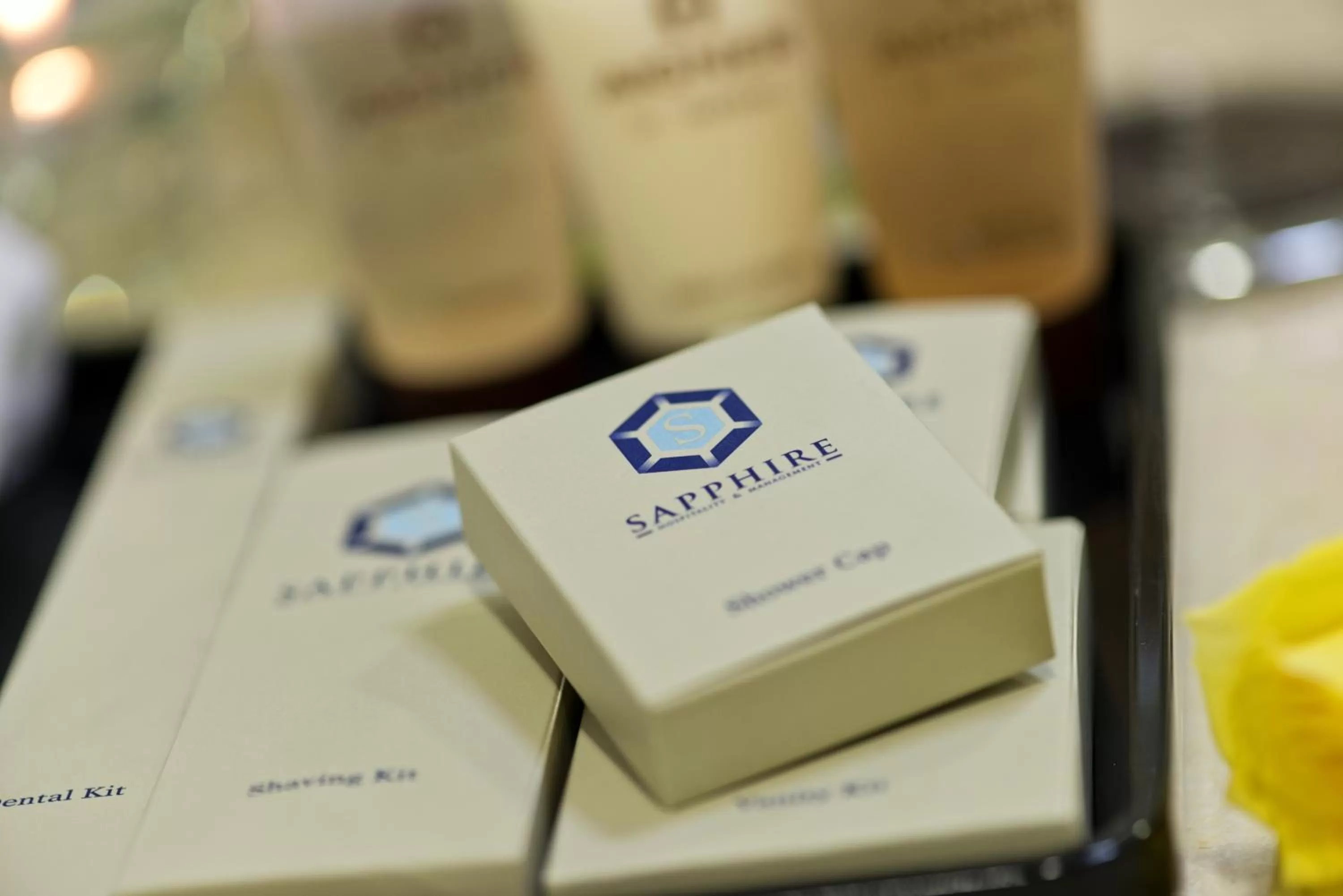 Shower in Sapphire Plaza Hotel