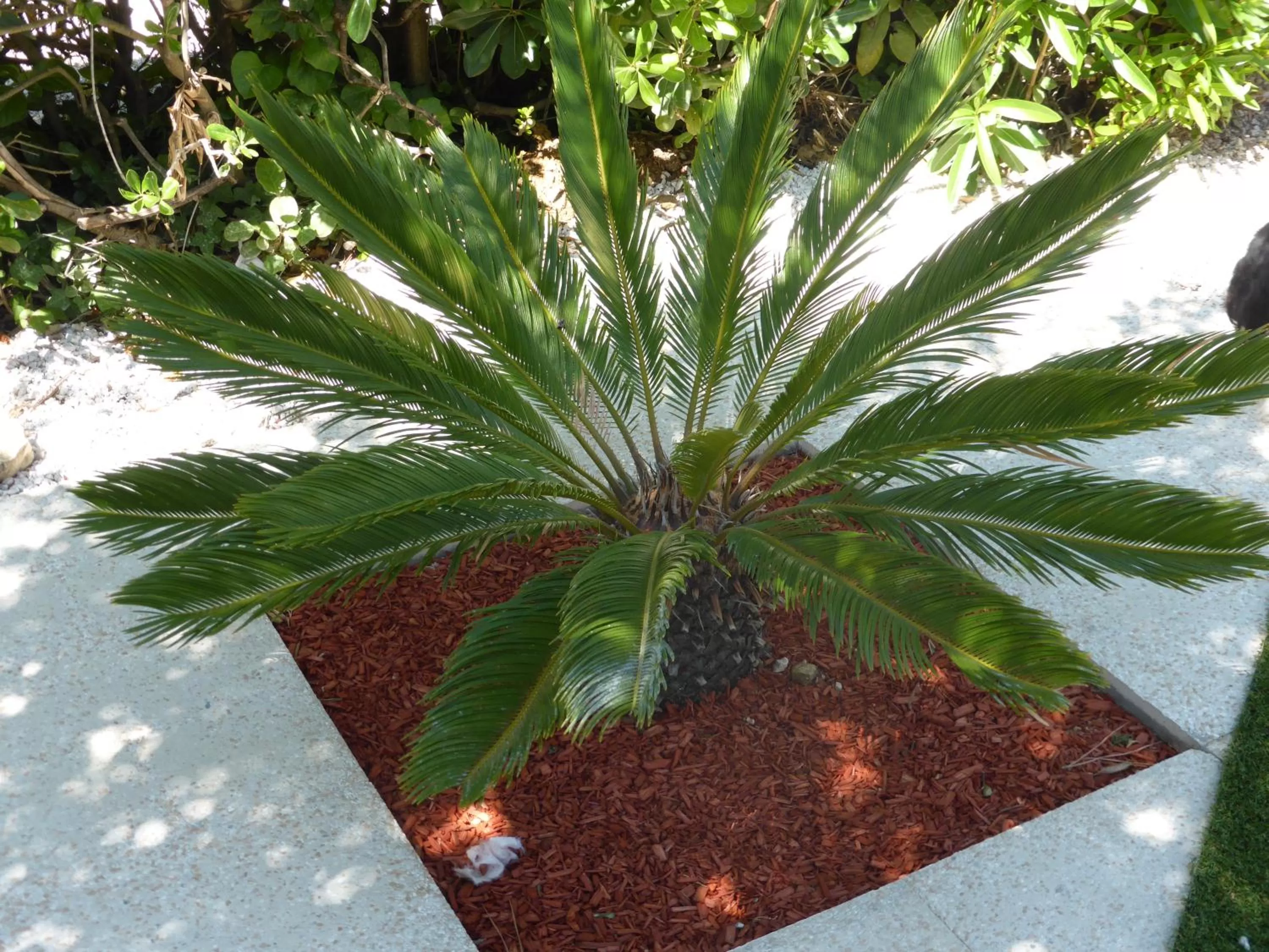 Day in Hotel Le Golfe Bleu