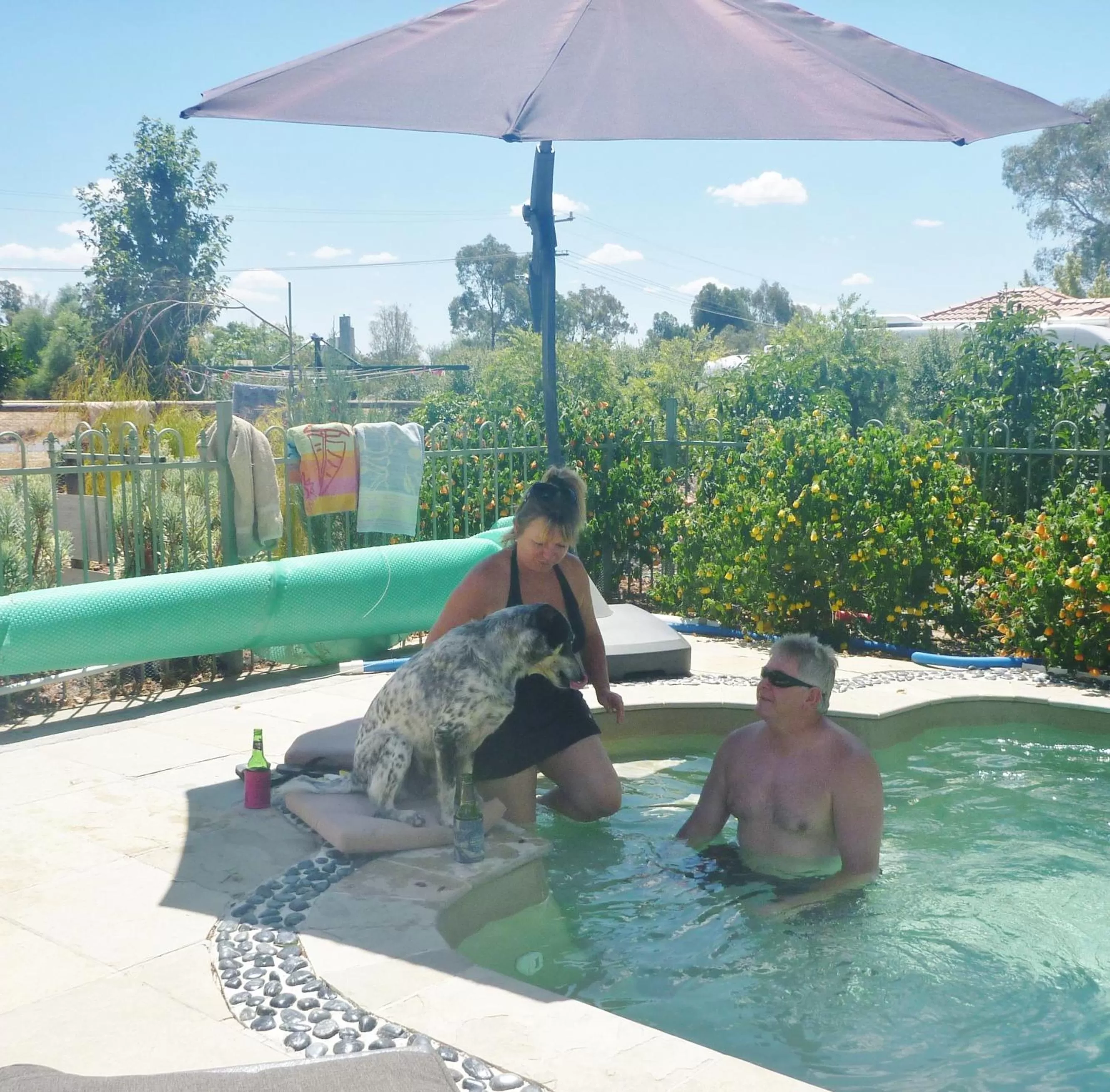 People in Must Love Dogs B&B & Self Contained Cottage