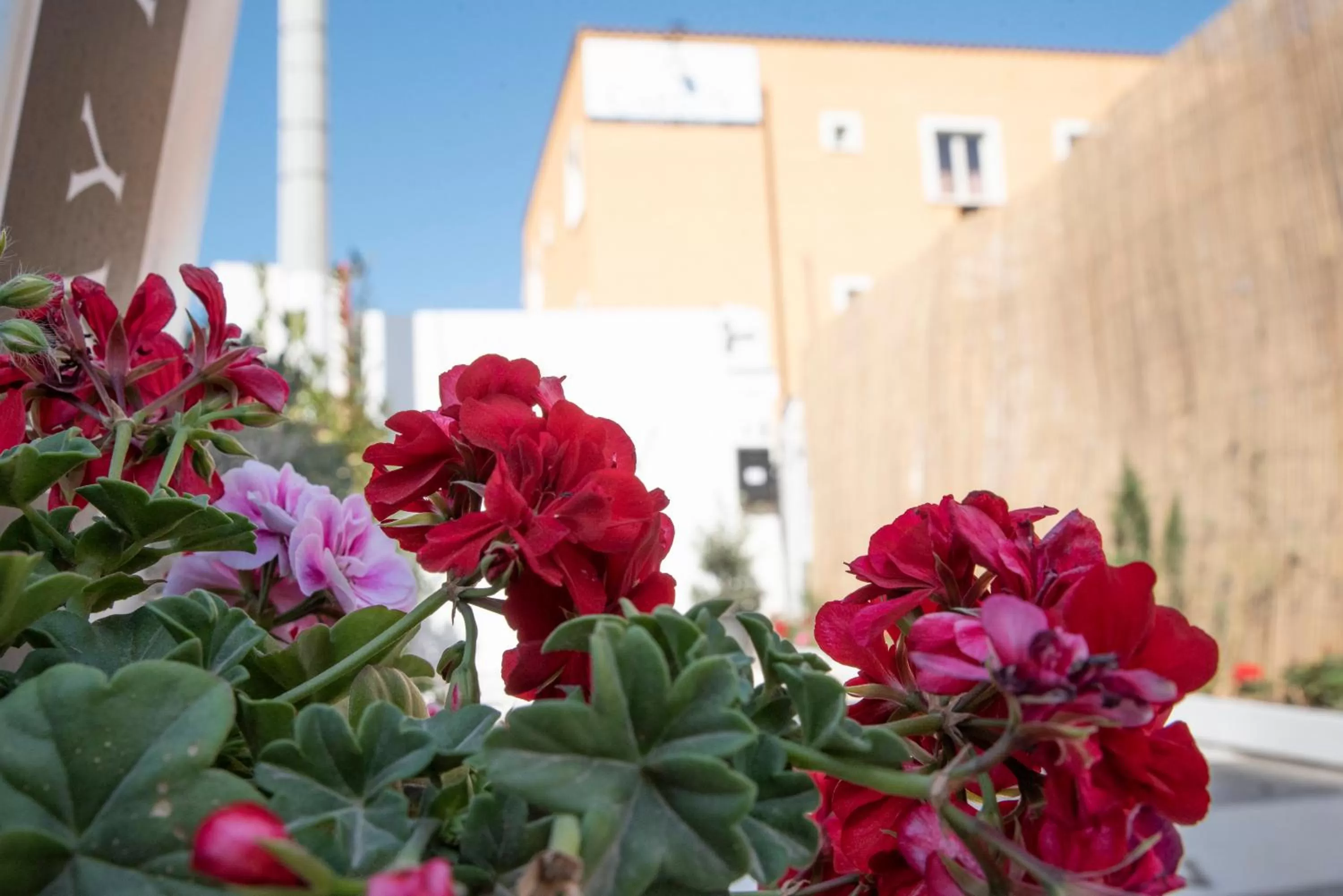 Carlo V - Holiday Rooms