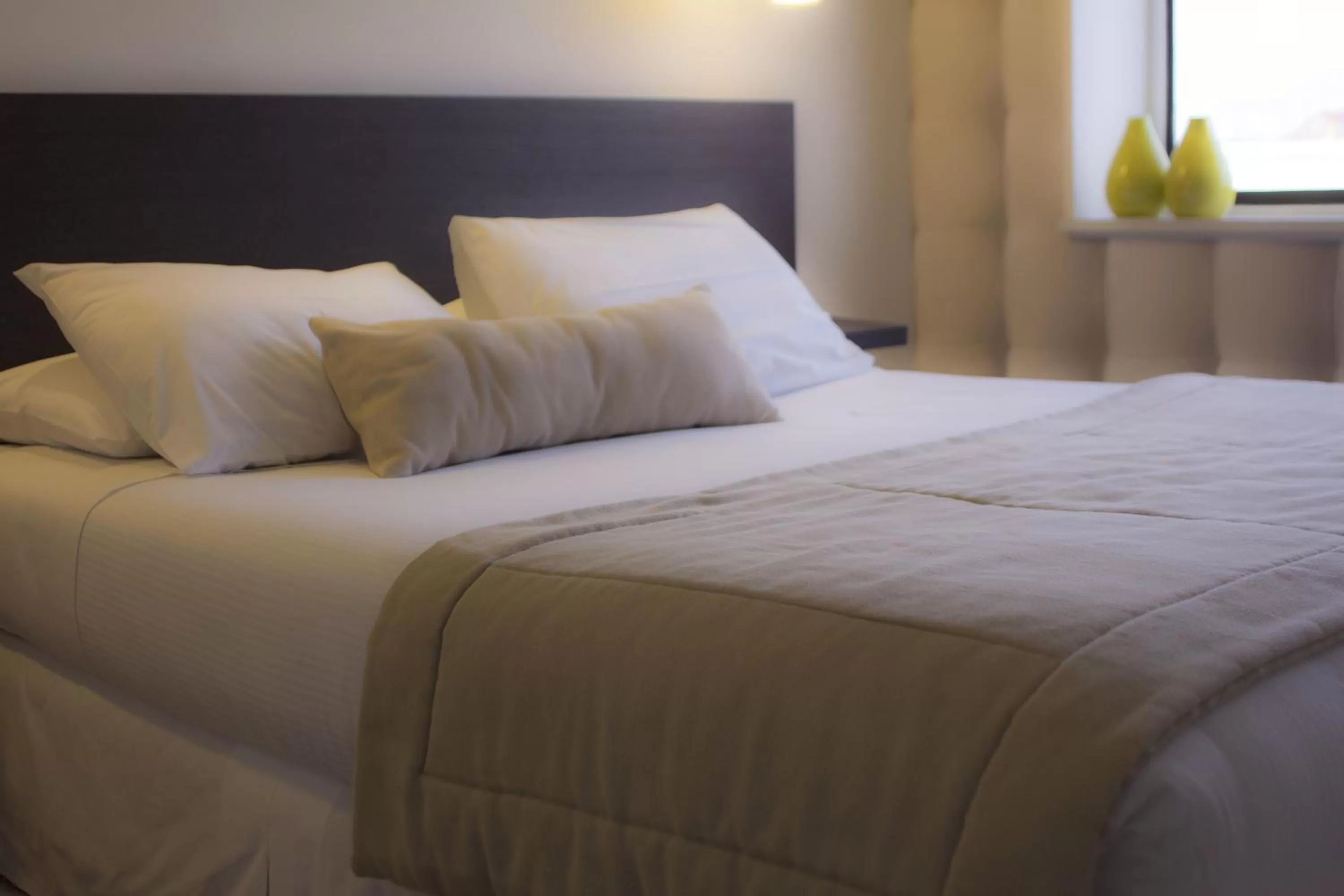 Photo of the whole room, Bed in Hotel Las Terrazas Business