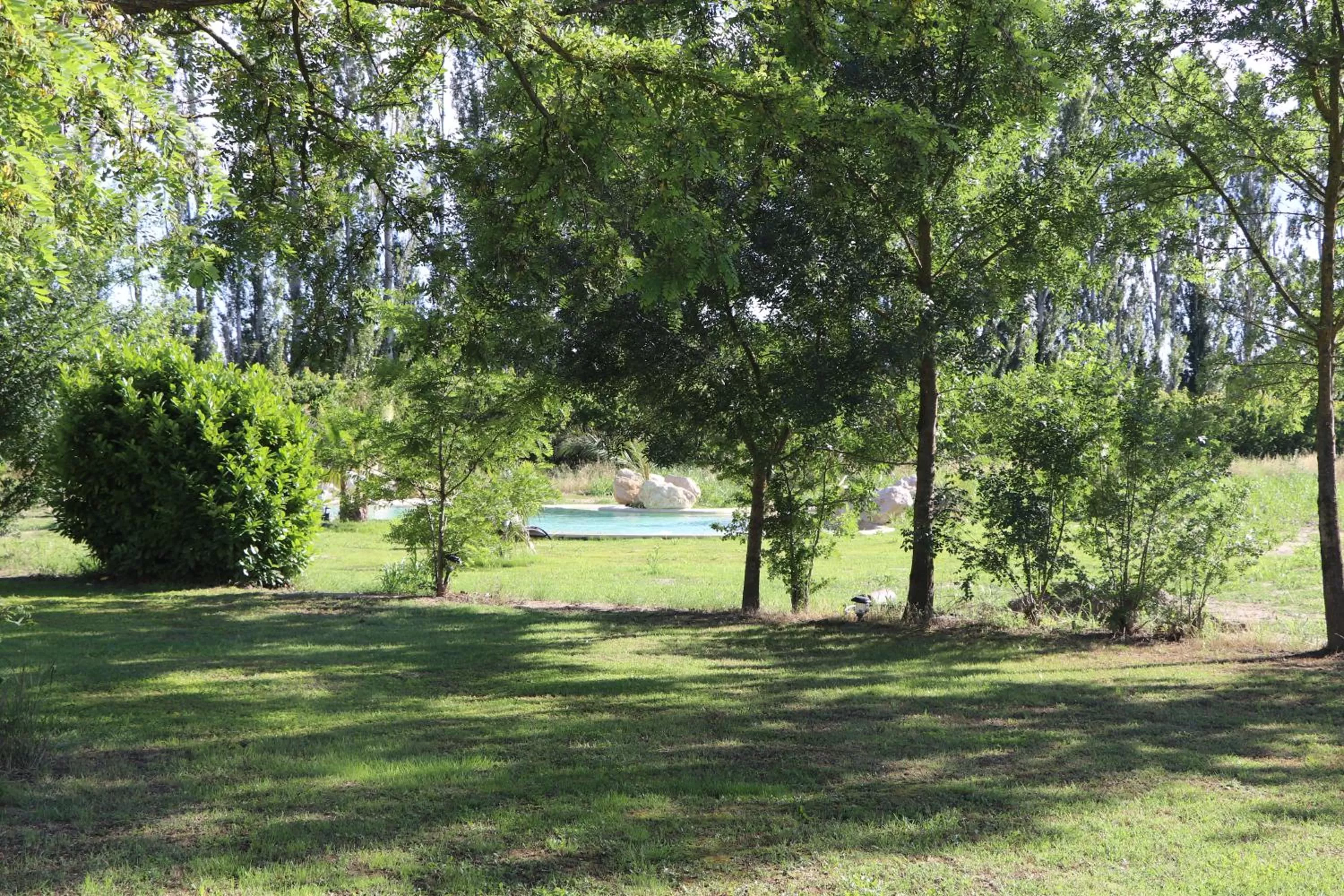 Natural landscape in Le Mas des Cerisiers JACUZZI et SAUNA inclus pour tous les logements