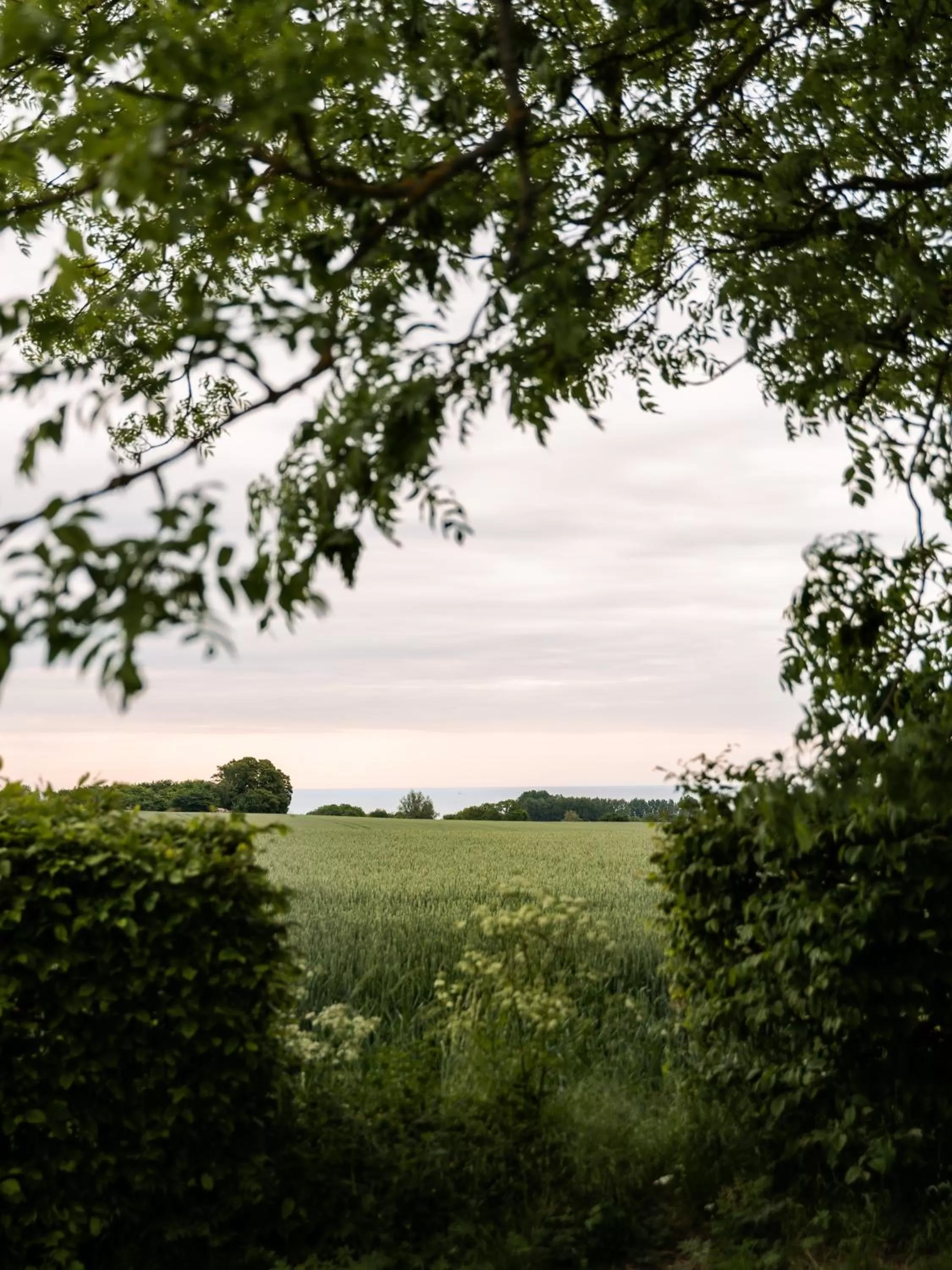 View (from property/room) in Sköllengården