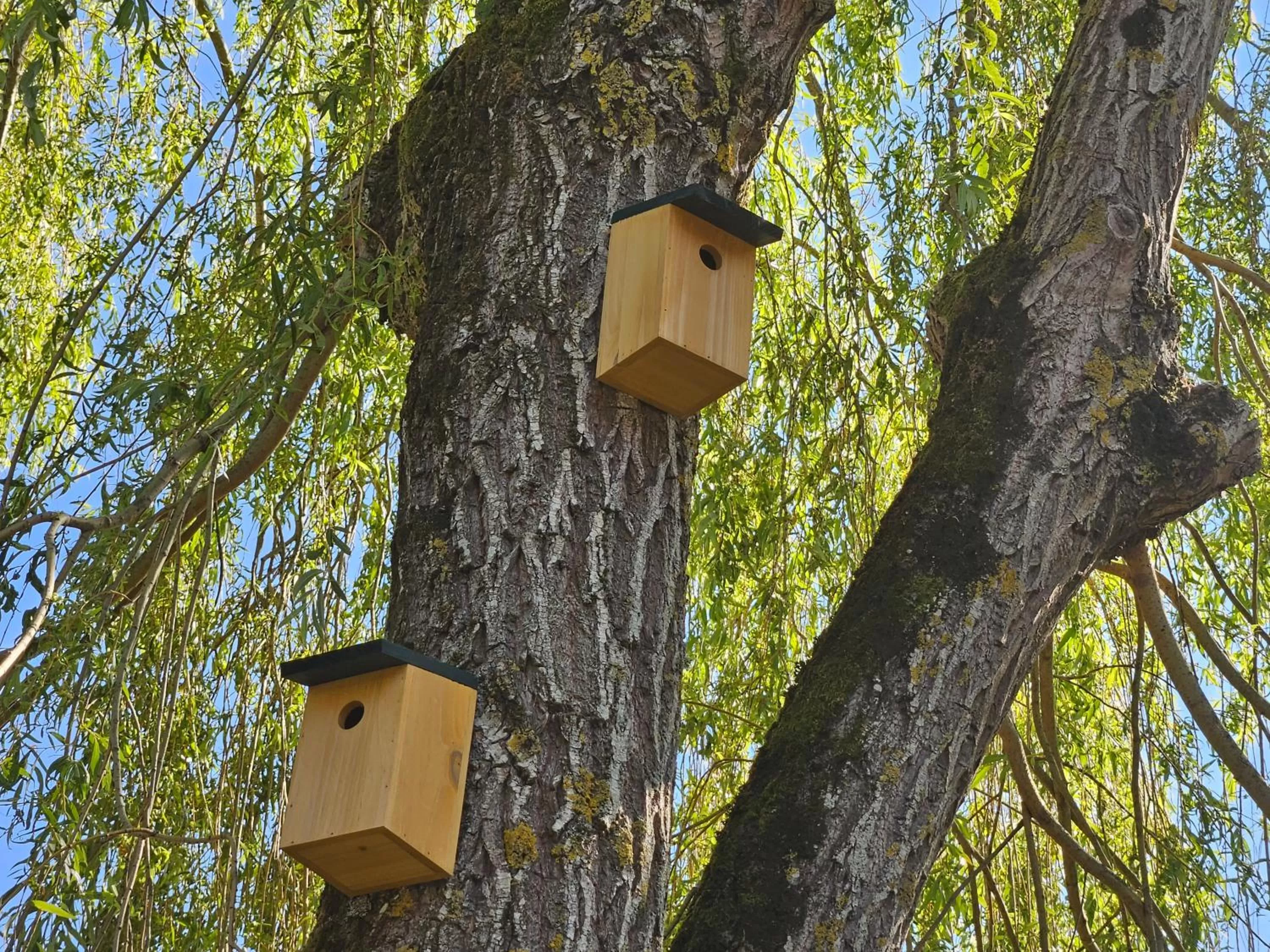 Garden in Campanile Deauville Saint-Arnoult