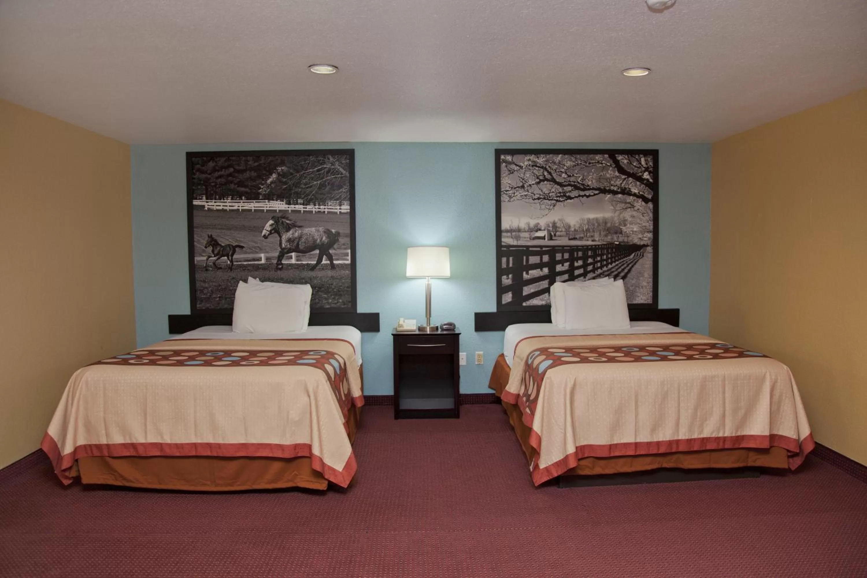 Queen Room-Non Smoking  in Super 8 by Wyndham Richmond