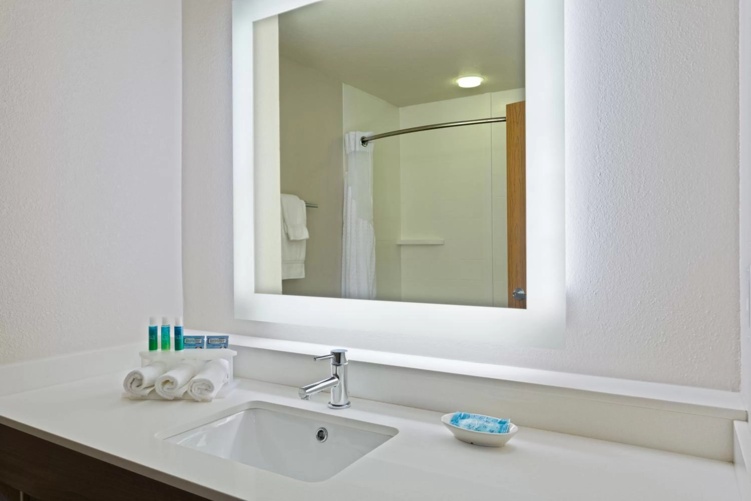 Bathroom in Holiday Inn Express & Suites Tavares by IHG