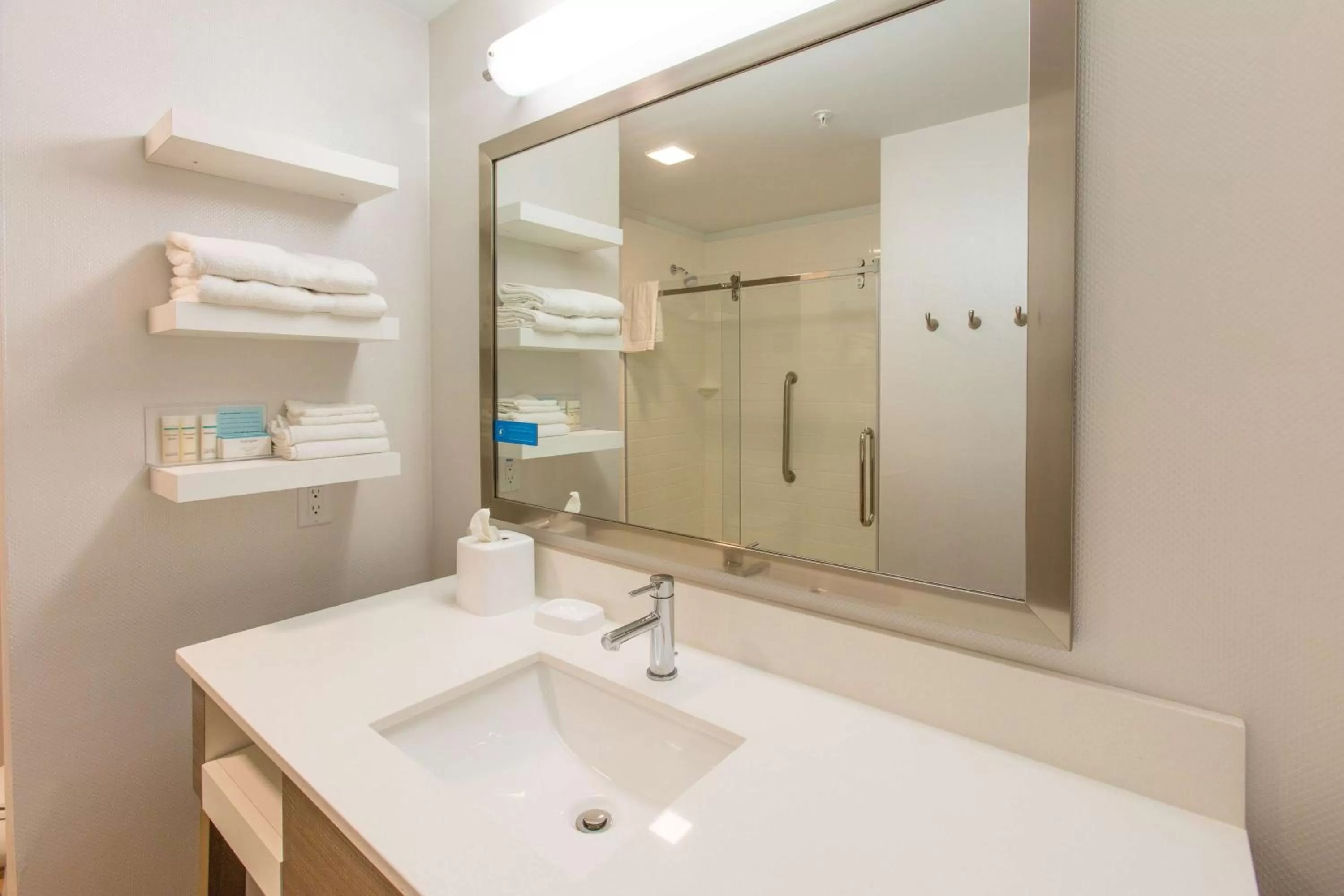 Bathroom in Hampton Inn - Palatka