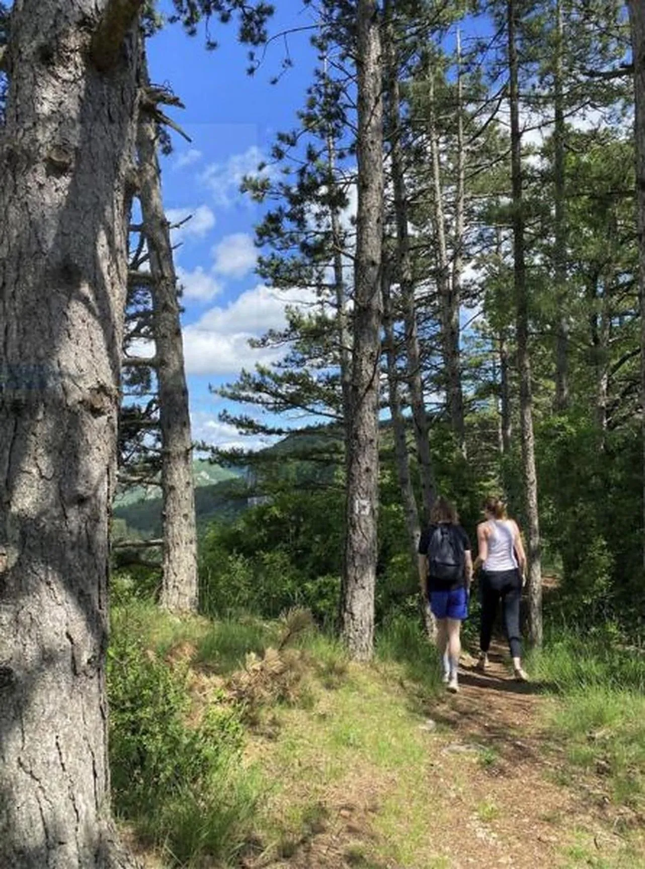 Natural landscape in Hôtel CAP VERT en Aveyron