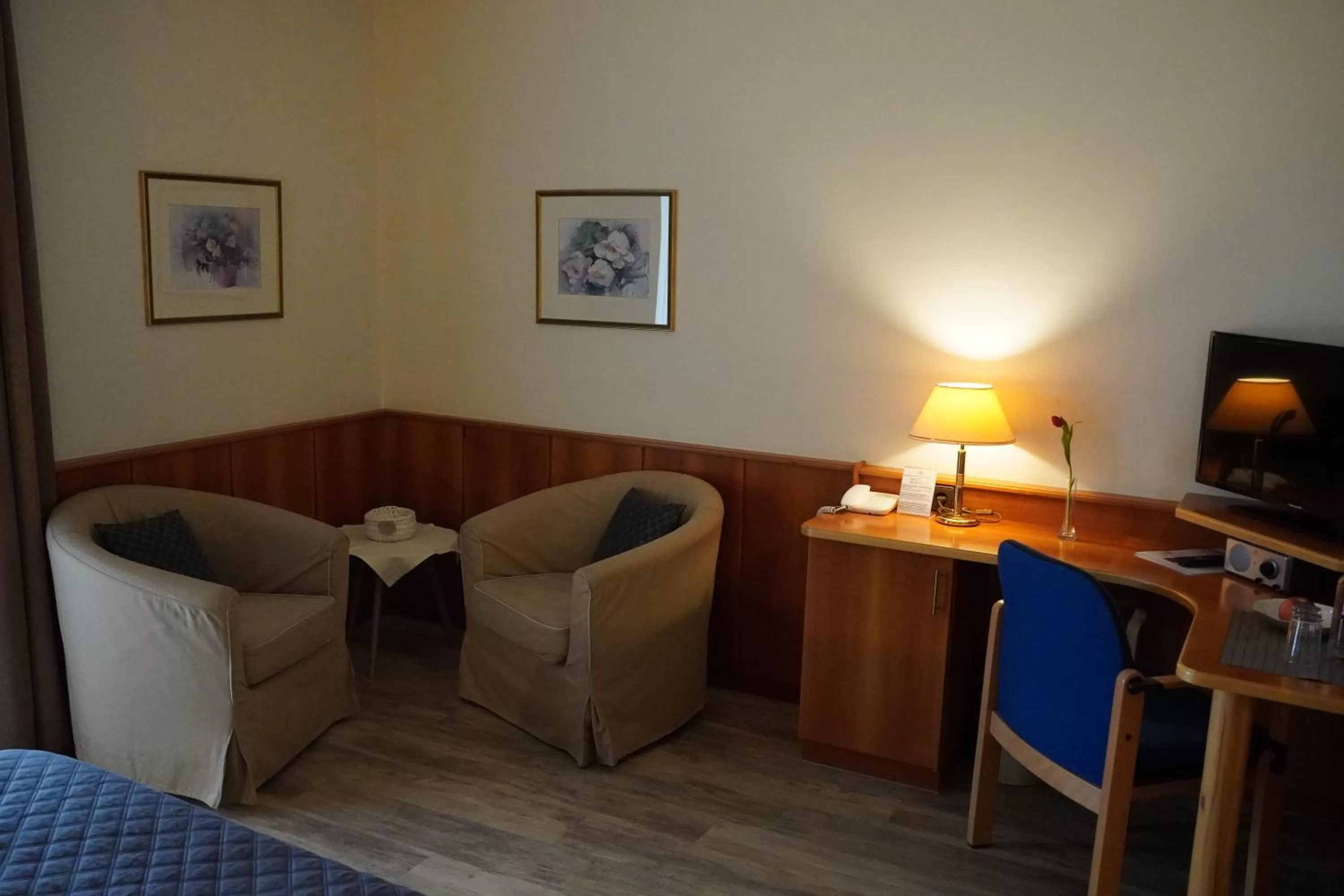 TV and multimedia in Villa Martini Boutiquehotel