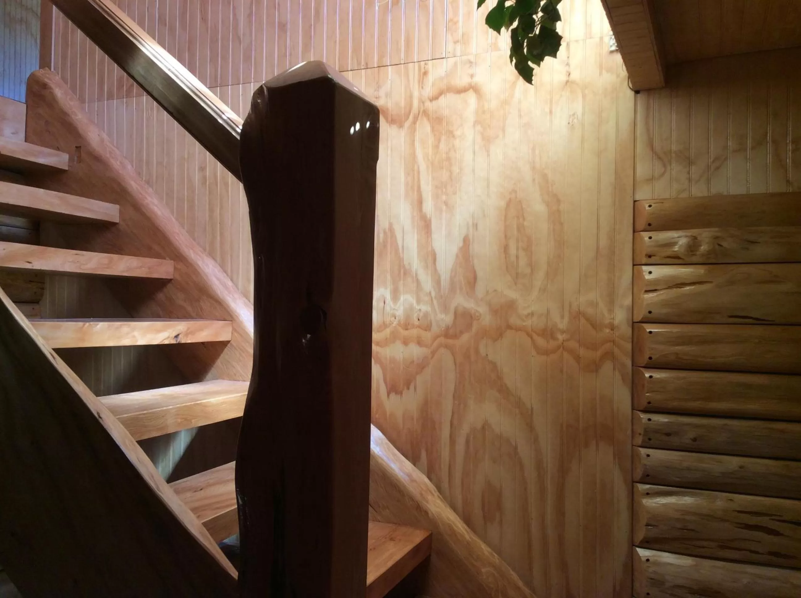 Property building in Los Mañíos Del Queulat Puyuhuapi