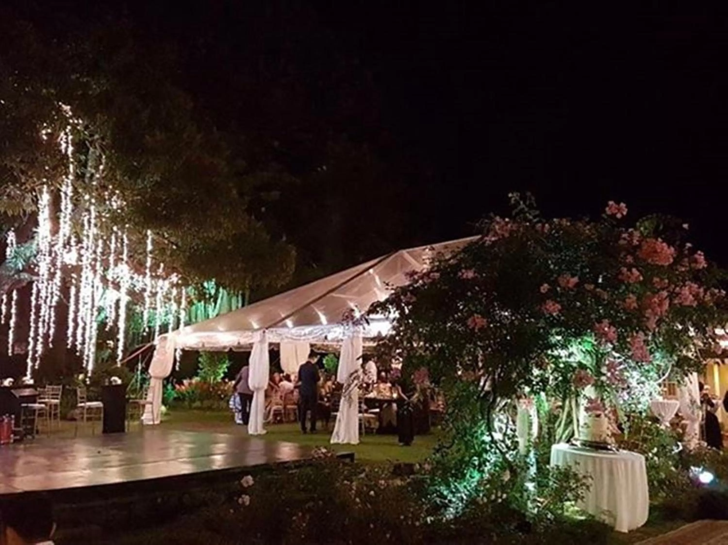 Garden in Hotel Panamonte