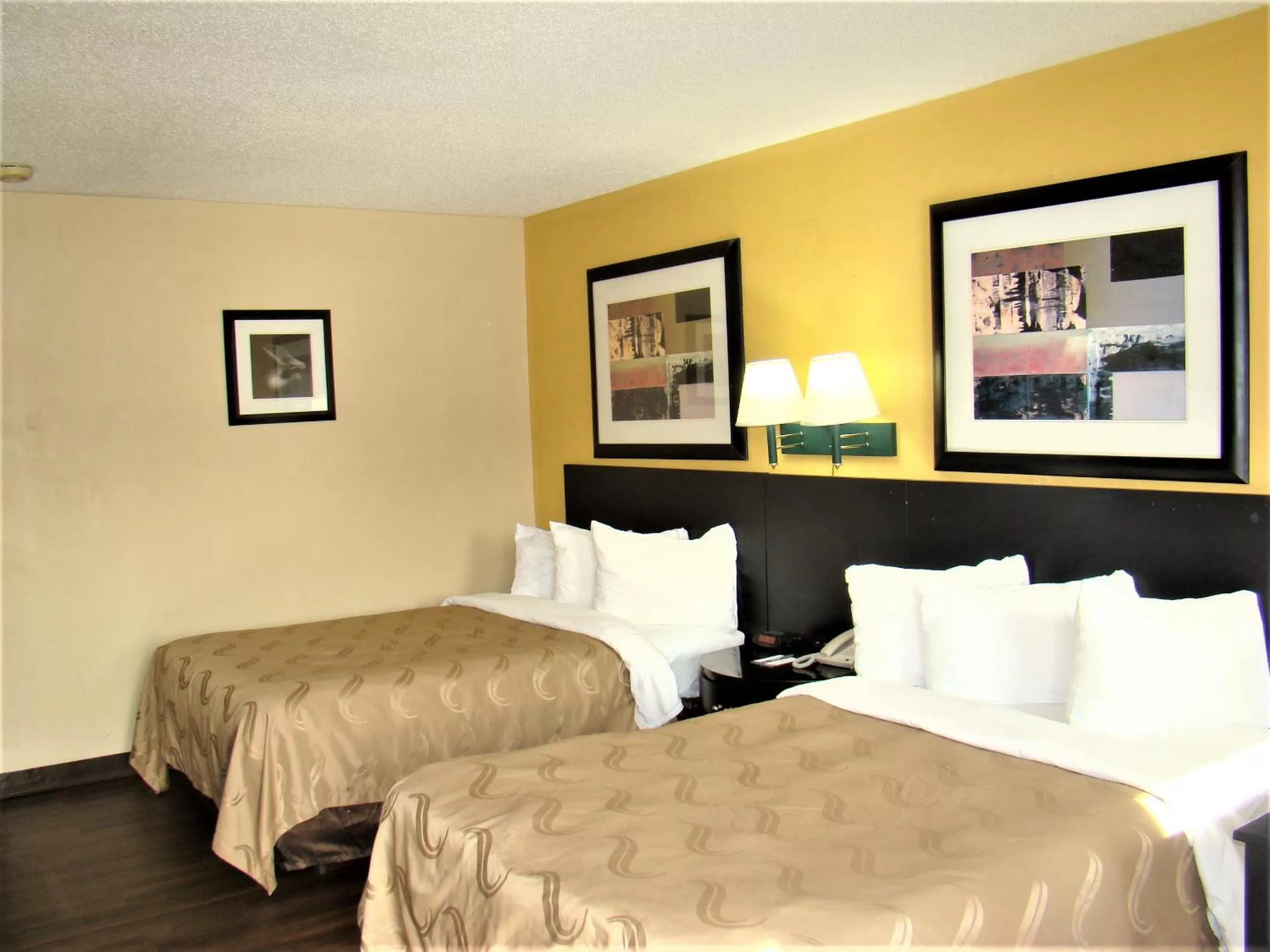 Bed in Baymont by Wyndham Front Royal Near Shenandoah National Park