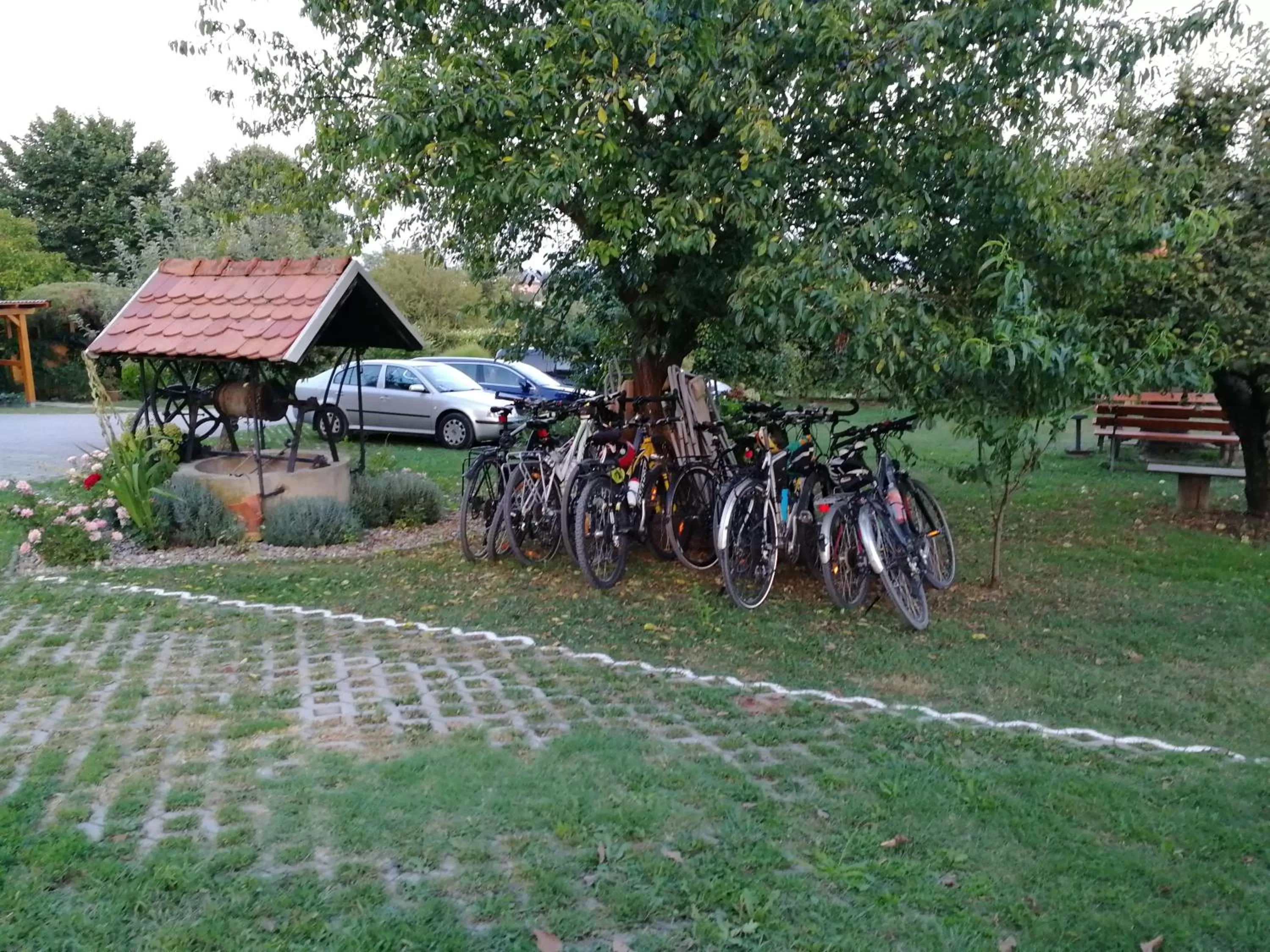 Cycling in Panorama B&B